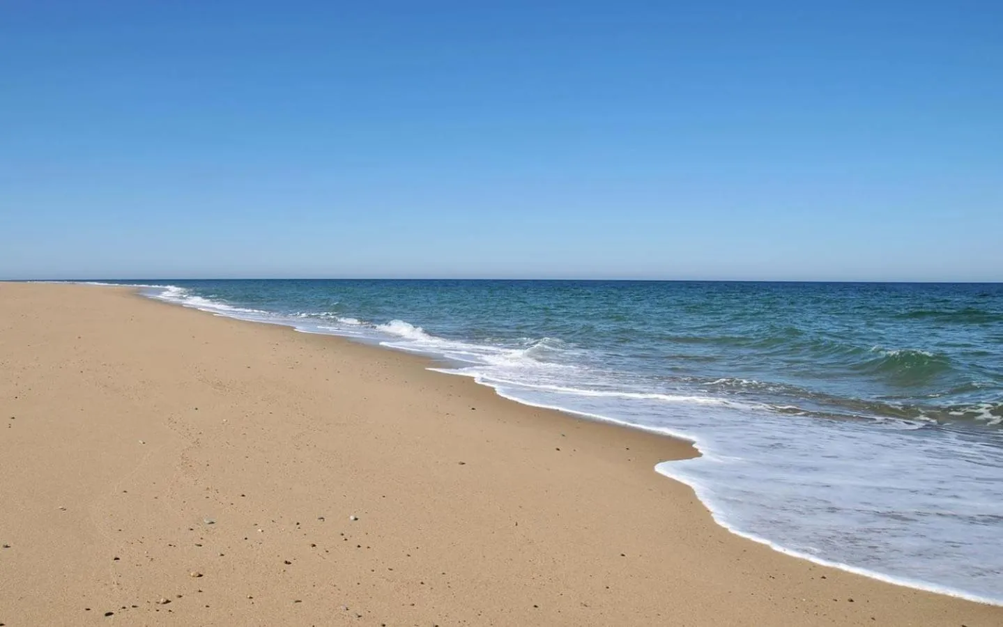 Beach in Carlisle House Inn