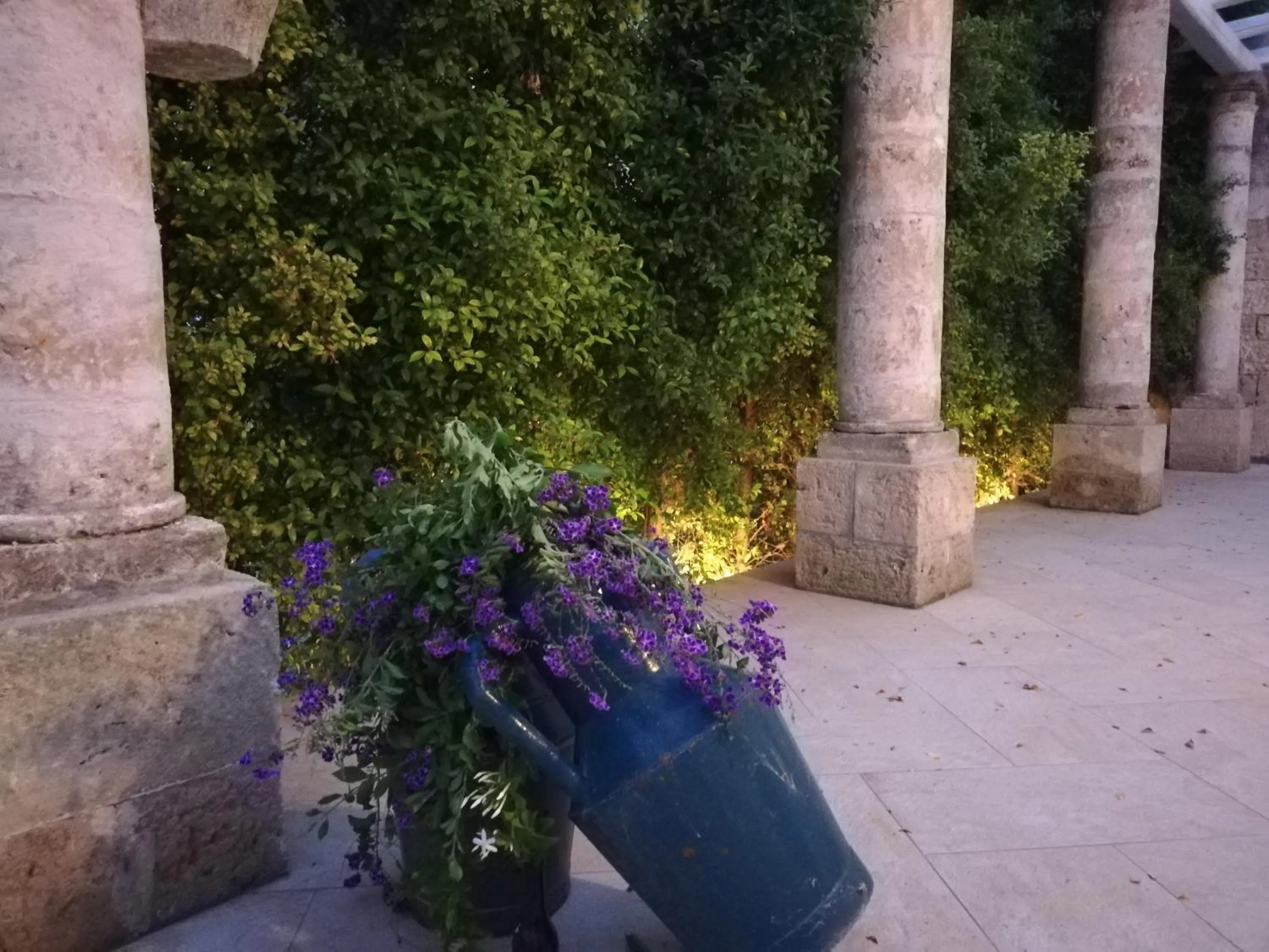 Garden in Agorà Suites & Apartments