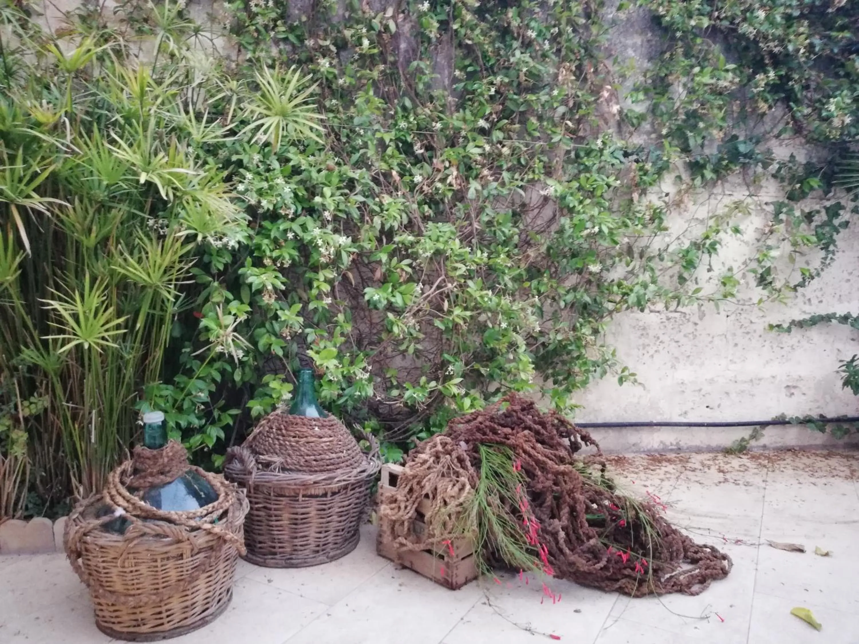 Garden in Agorà Suites & Apartments