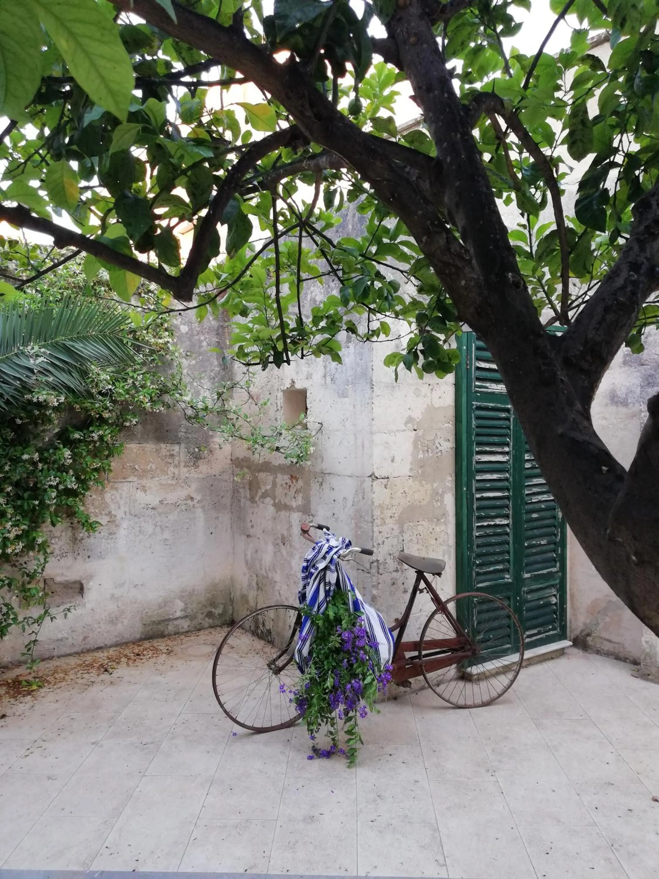 Garden in Agorà Suites & Apartments
