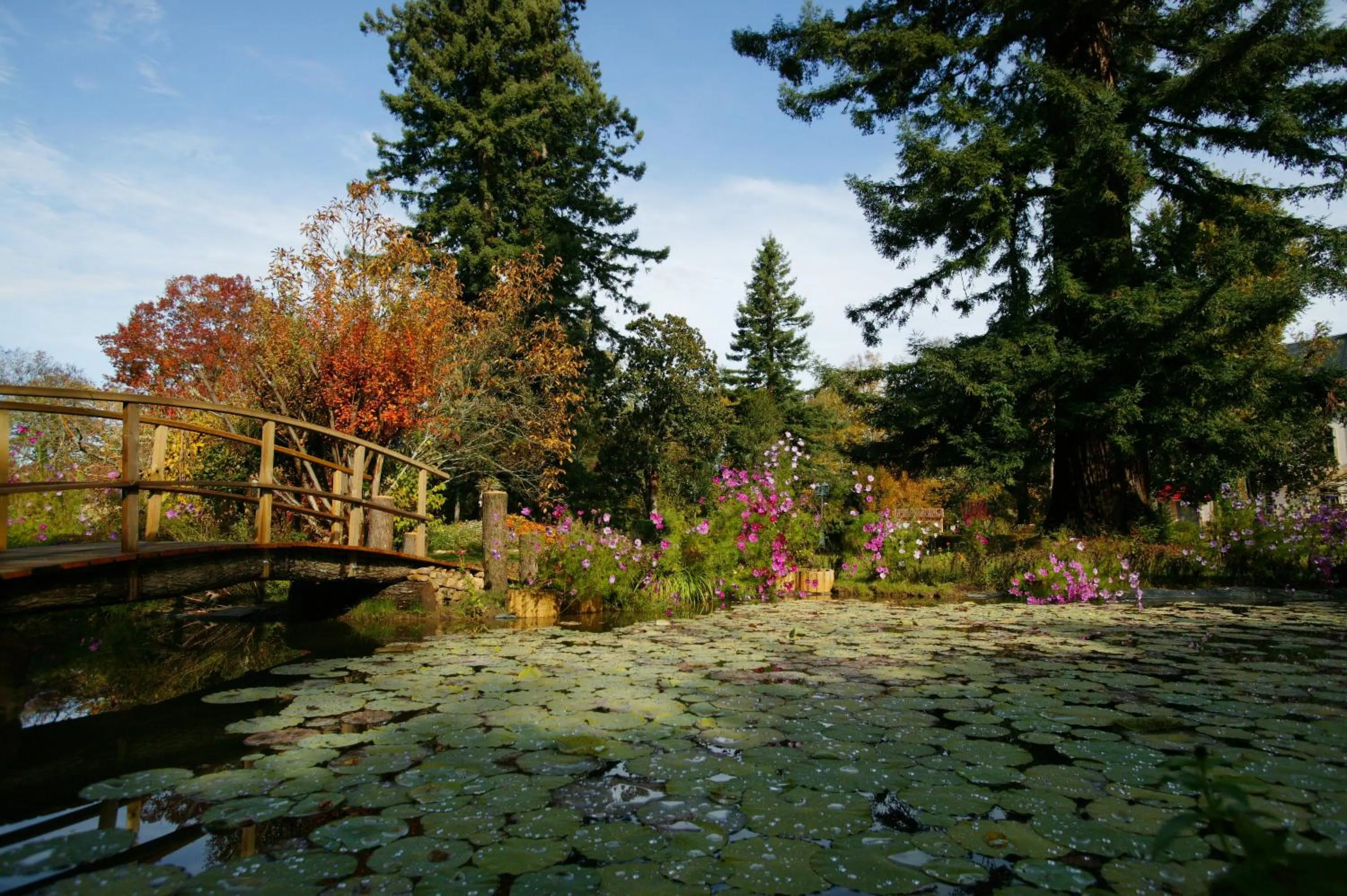 Day in Le Manoir de Bellerive