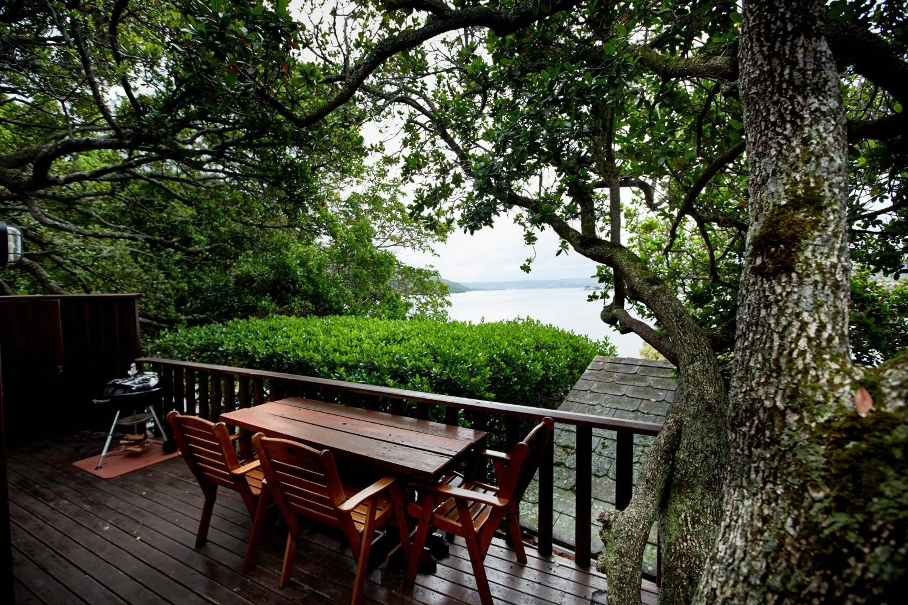Patio in Under Milkwood Resort