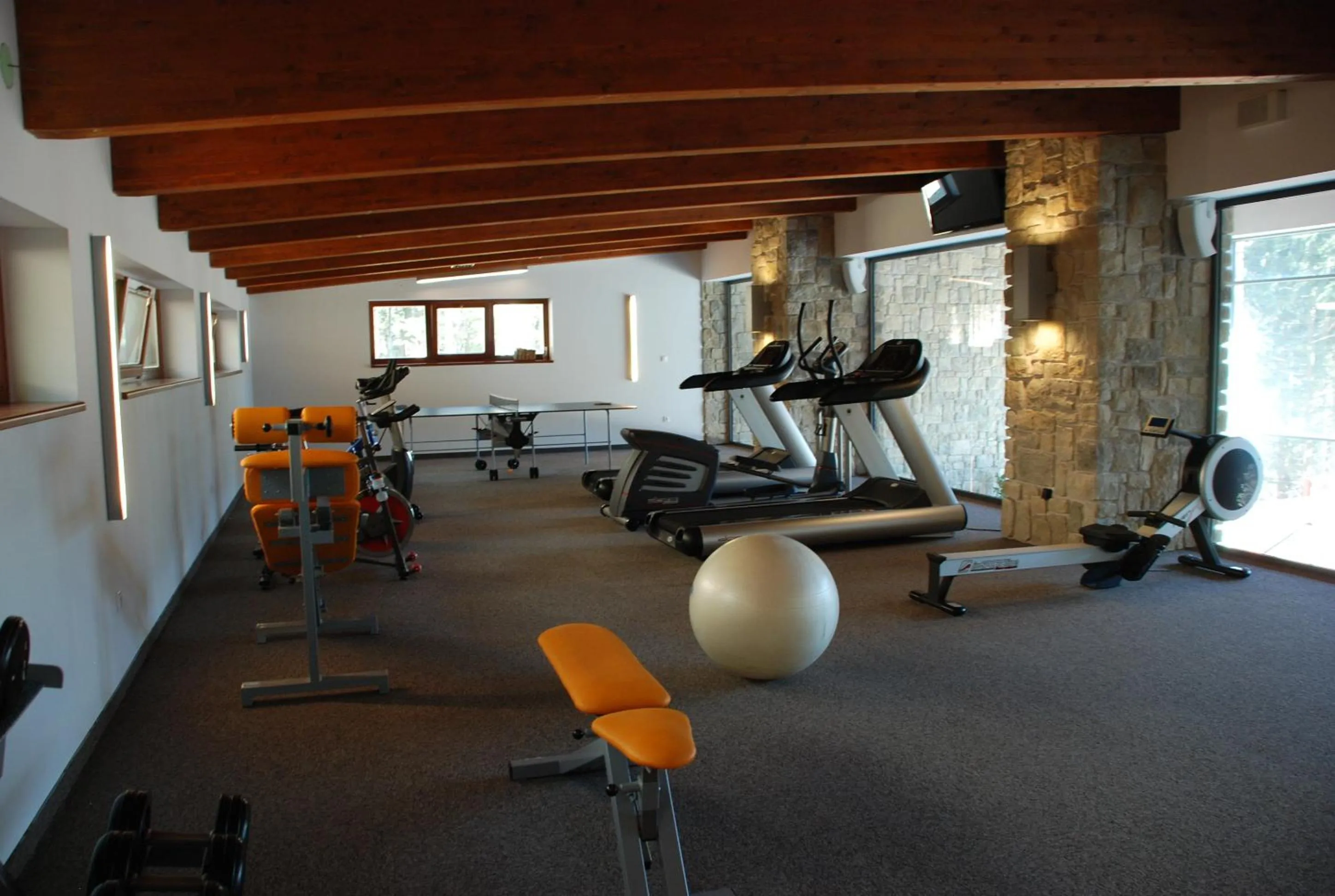 Fitness centre/facilities in Hotel Rozsutec