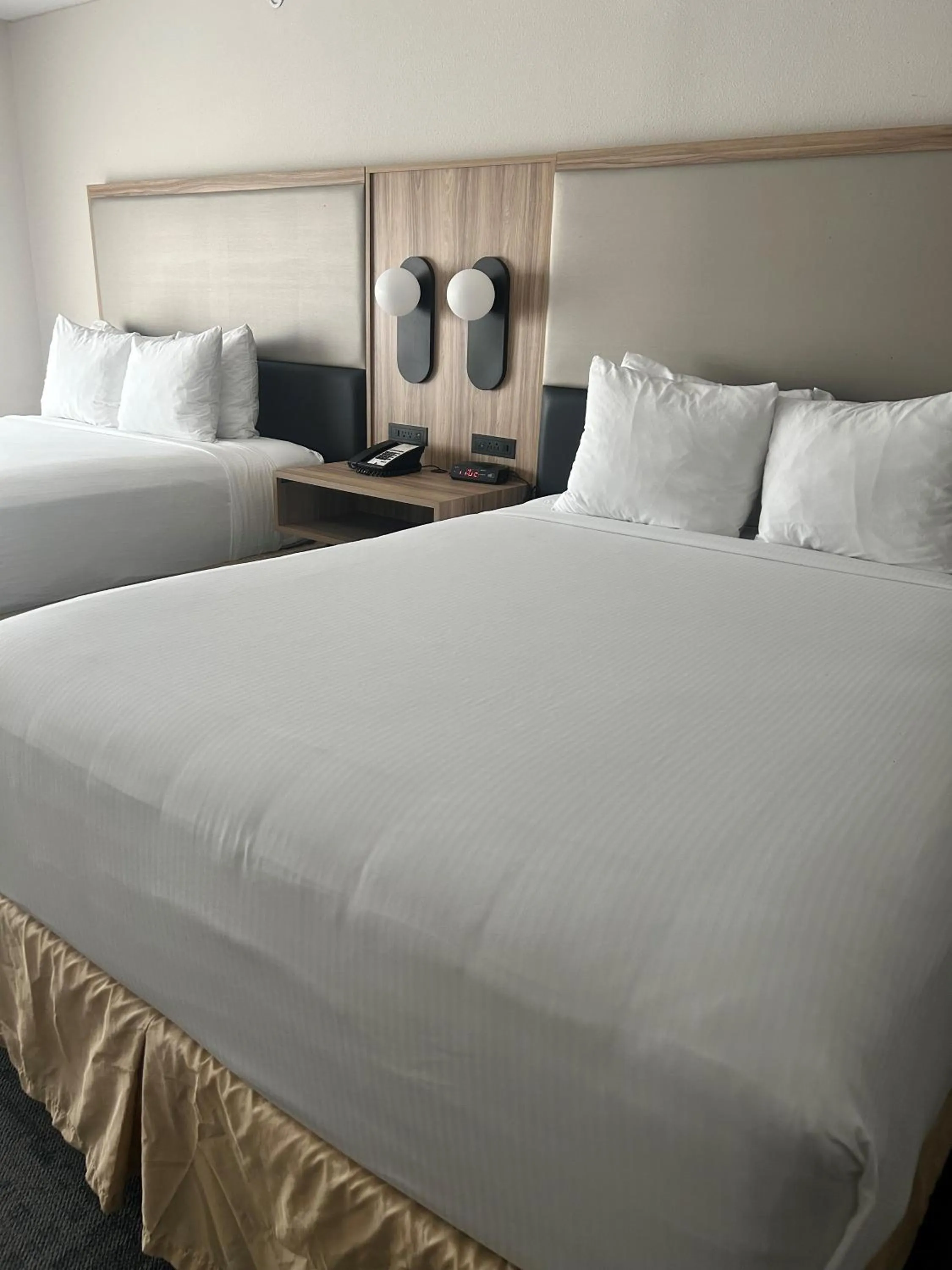 Bedroom, Bed in Wingate by Wyndham Richmond Short Pump