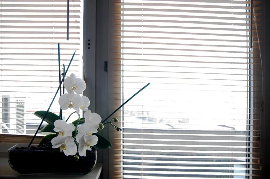 Other in Corner Hostel