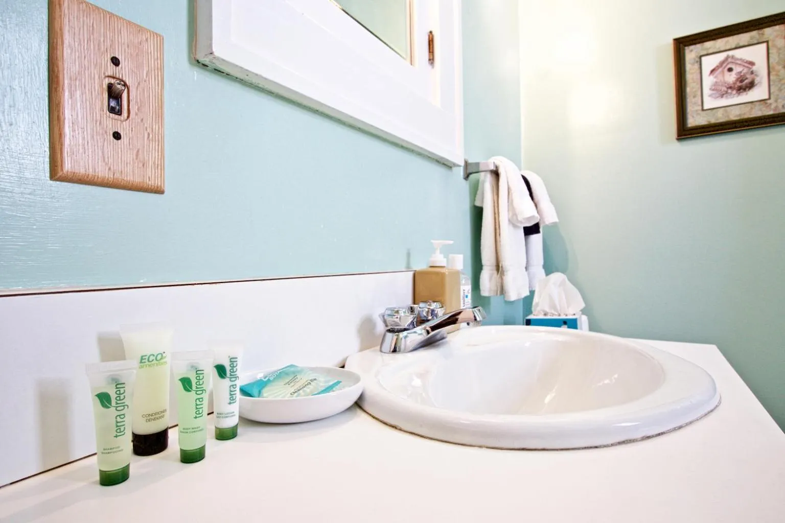 Bathroom in Blacksburg Bed & Breakfast