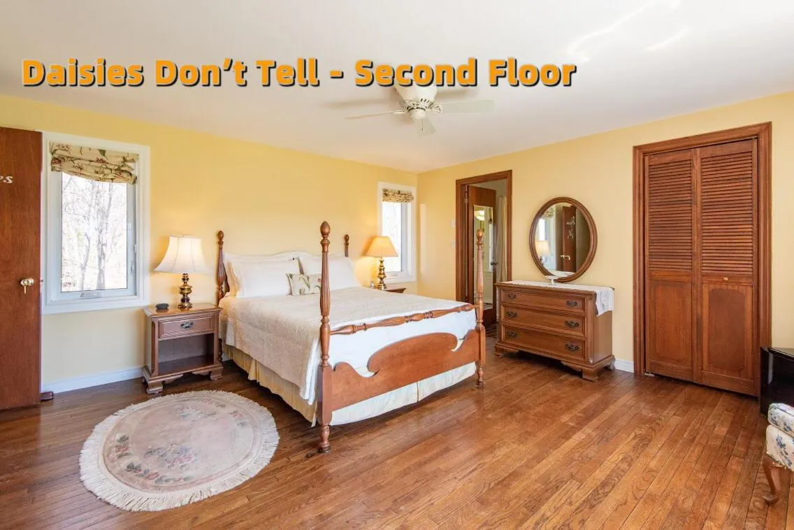 Photo of the whole room, Bed in Chez Nous