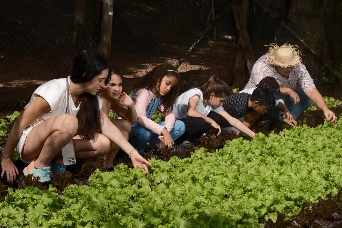 Food in Brotas Eco Hotel Fazenda