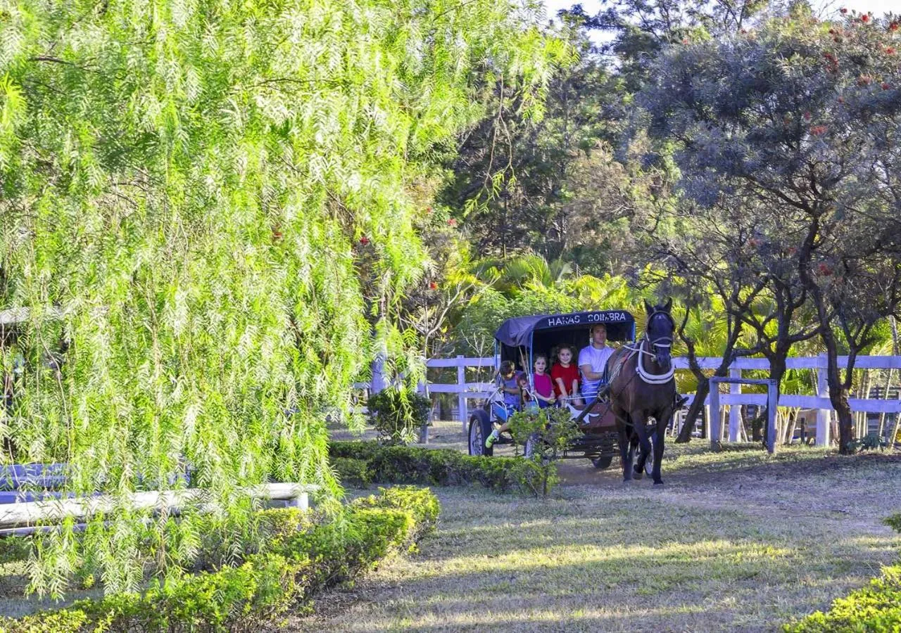 Garden in Brotas Eco Hotel Fazenda