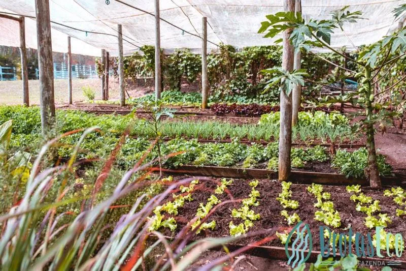 Garden in Brotas Eco Hotel Fazenda