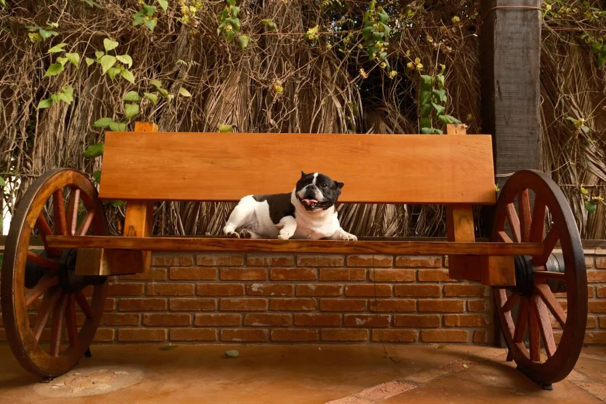 Pets in Brotas Eco Hotel Fazenda