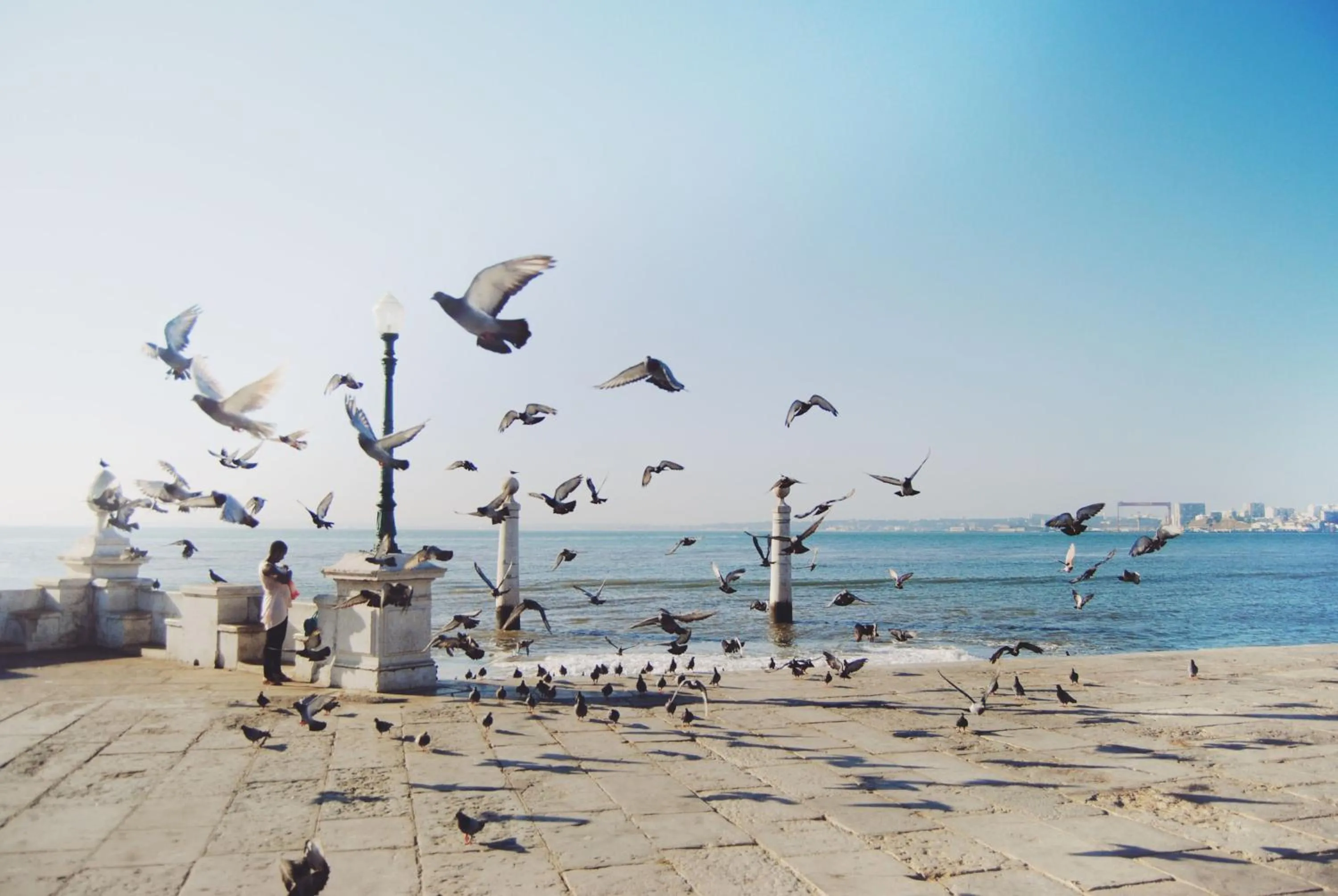 Off site in Dare Lisbon House