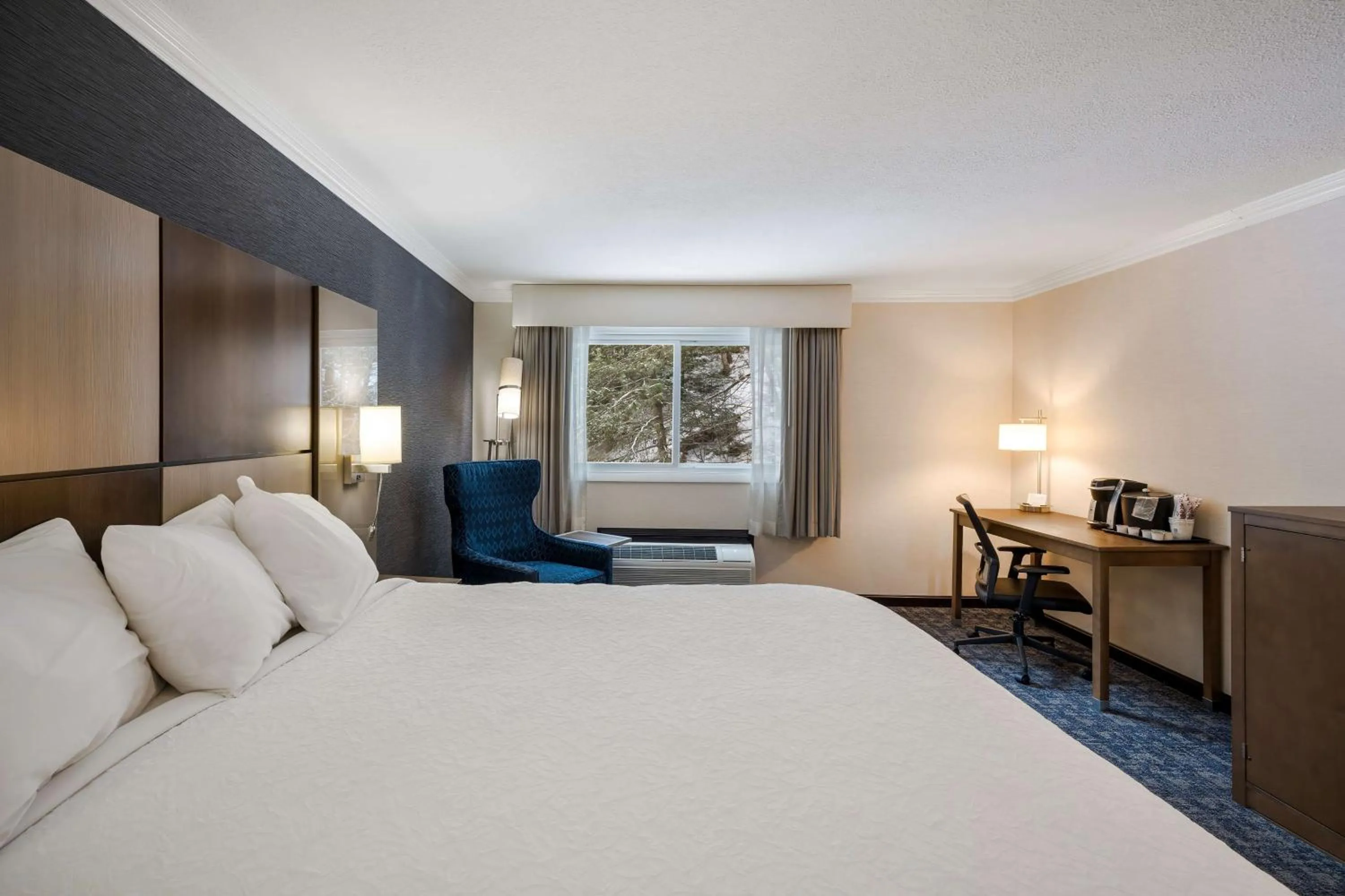 Bedroom, Bed in Best Western - Freeport Inn