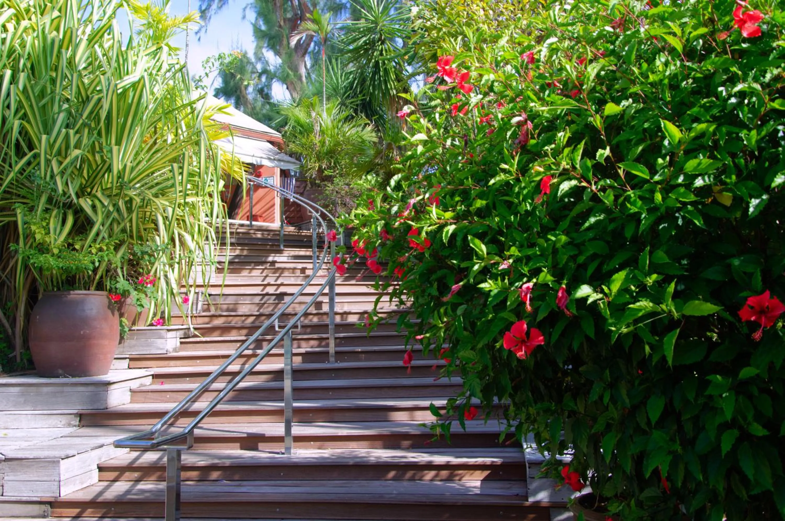 Garden in Carayou Hotel & Spa