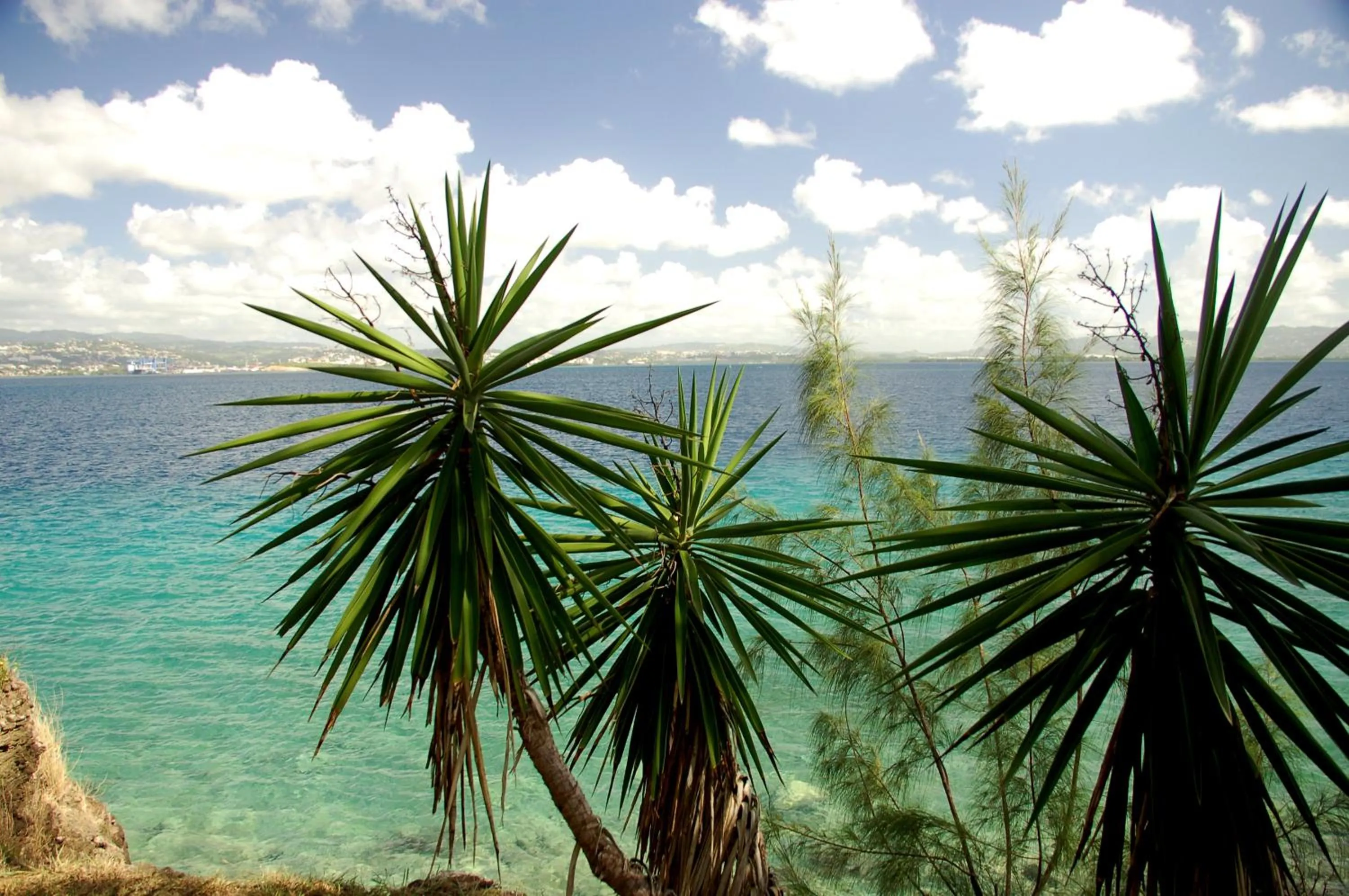 Natural landscape in Carayou Hotel & Spa