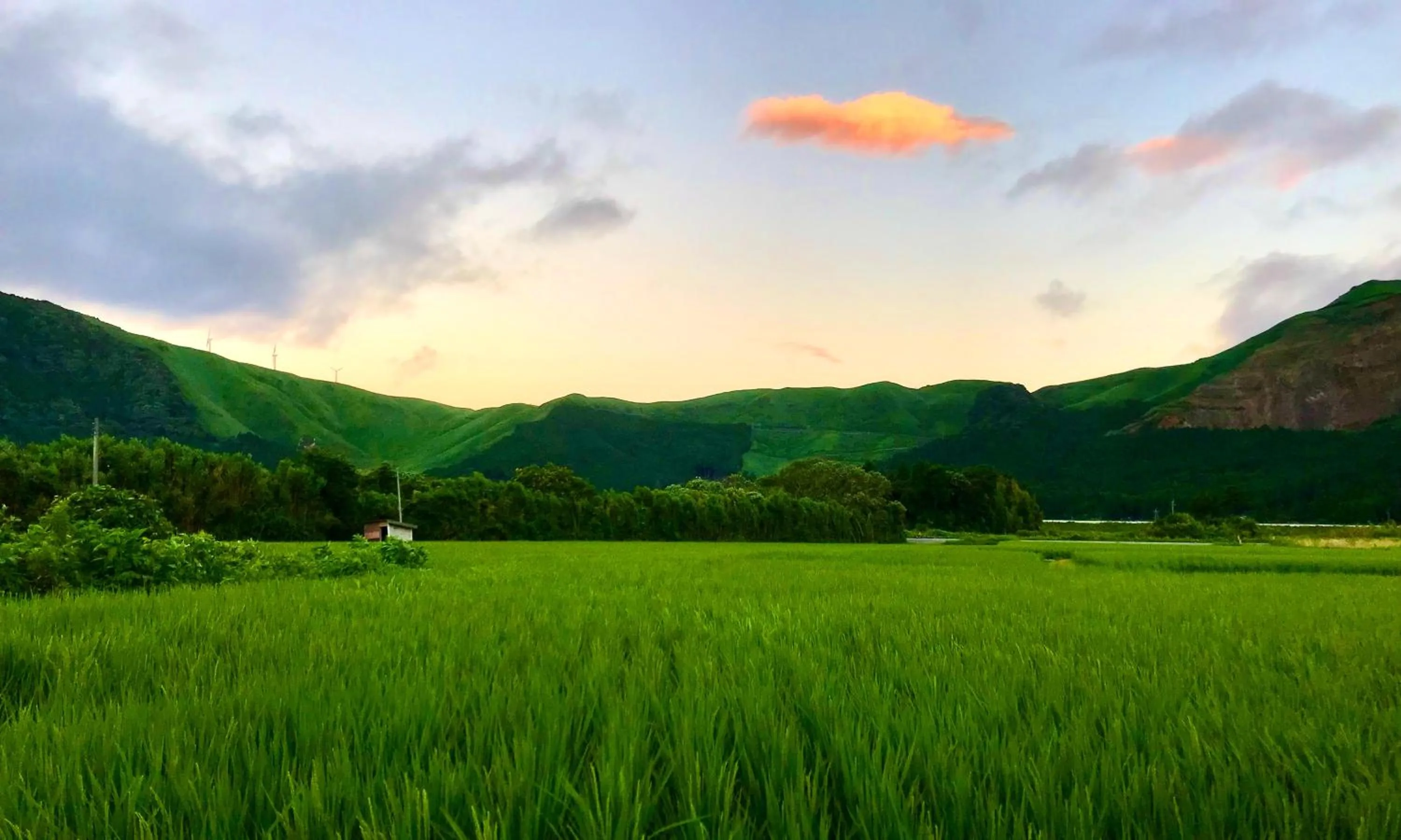 View (from property/room) in Aso Hakuun Sanso