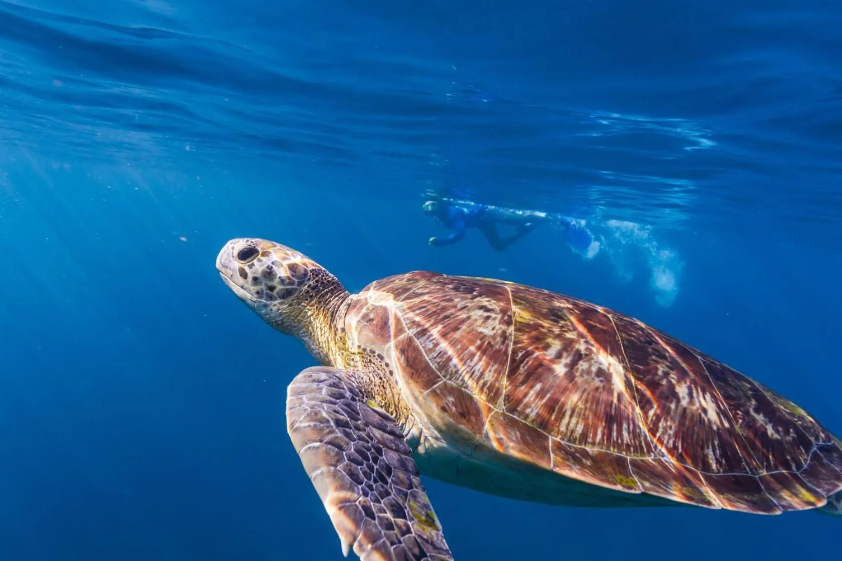 Sea view in Bubu Resort