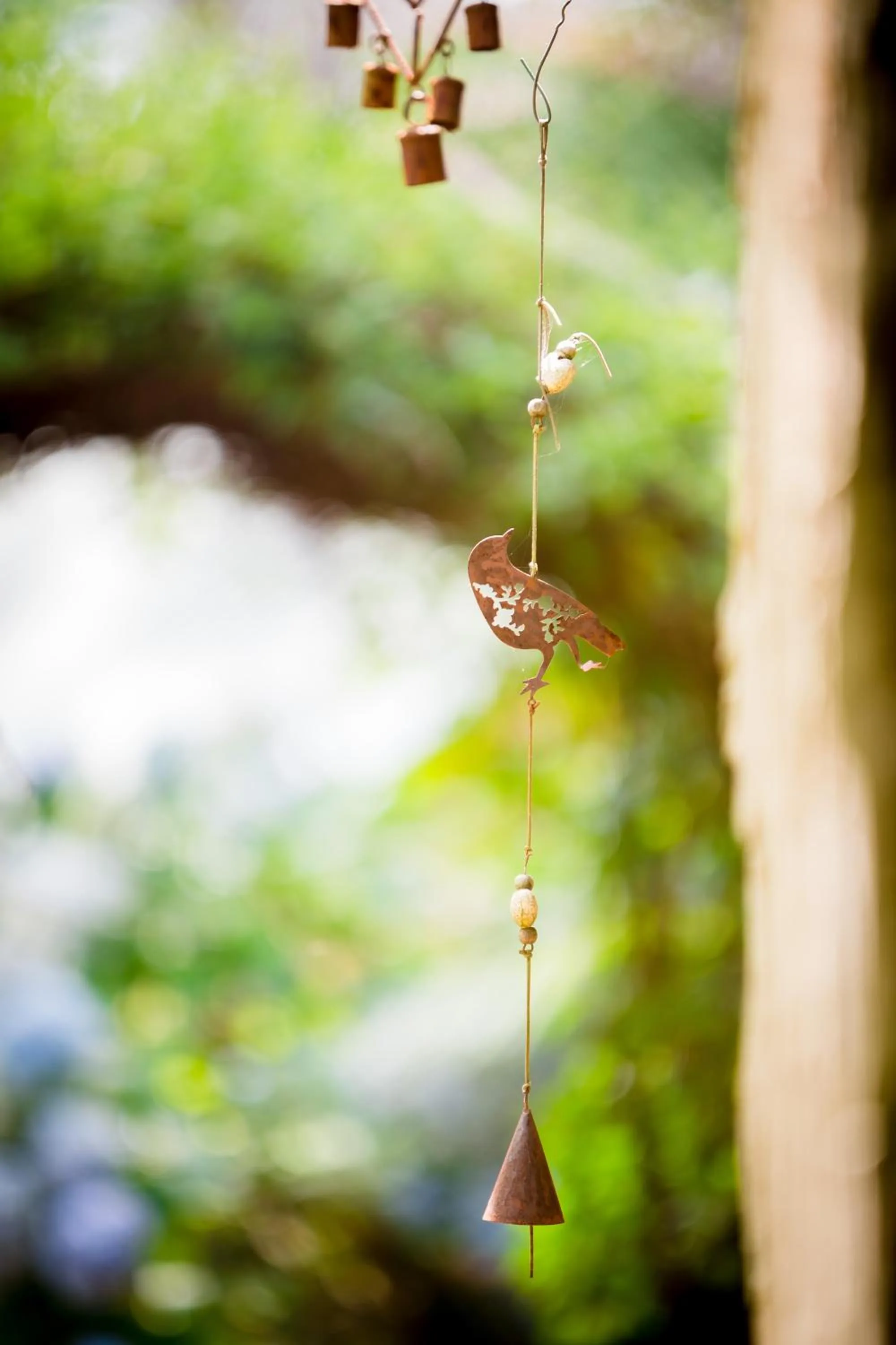 Como Cottage Accommodation