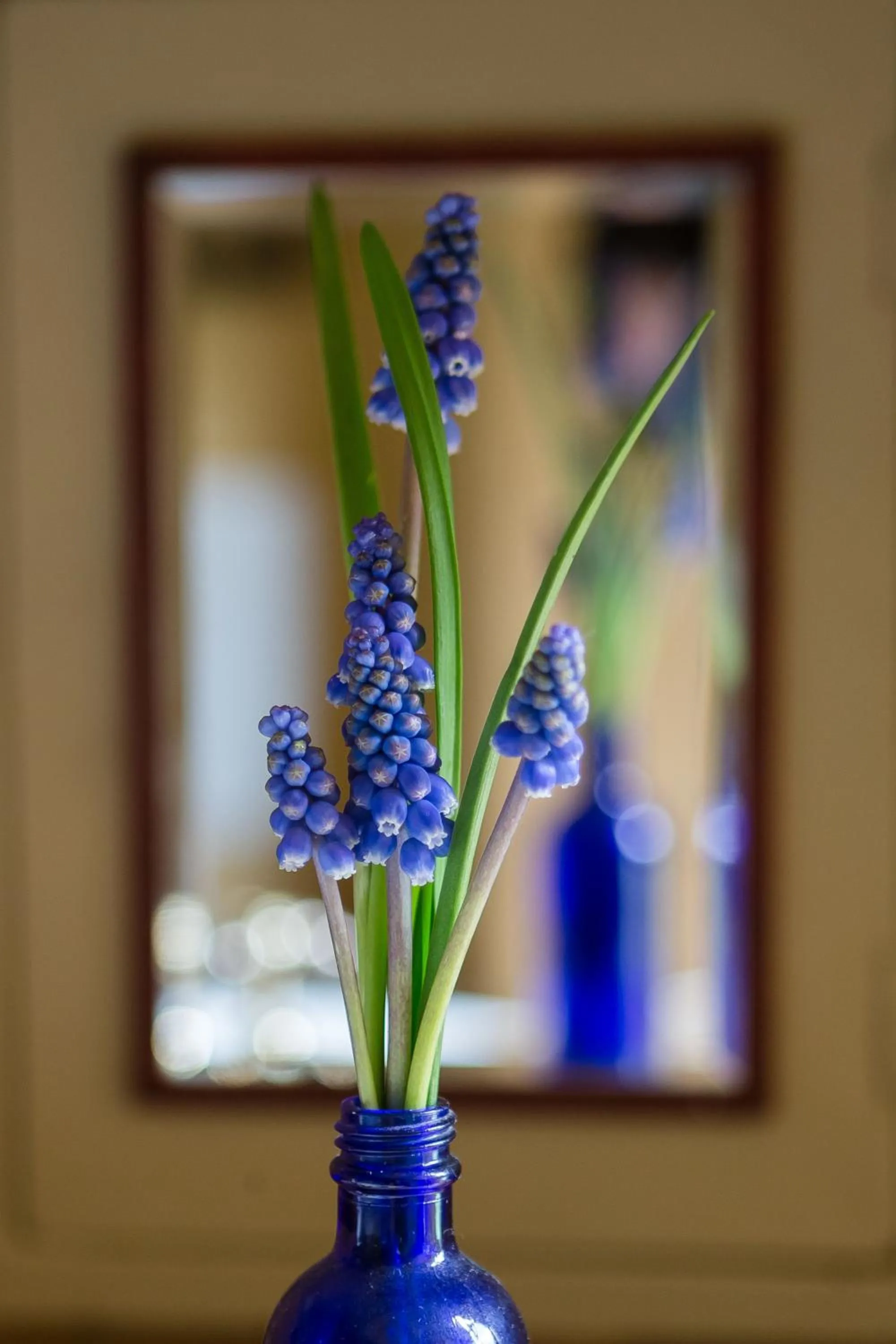 Decorative detail in Como Cottage Accommodation