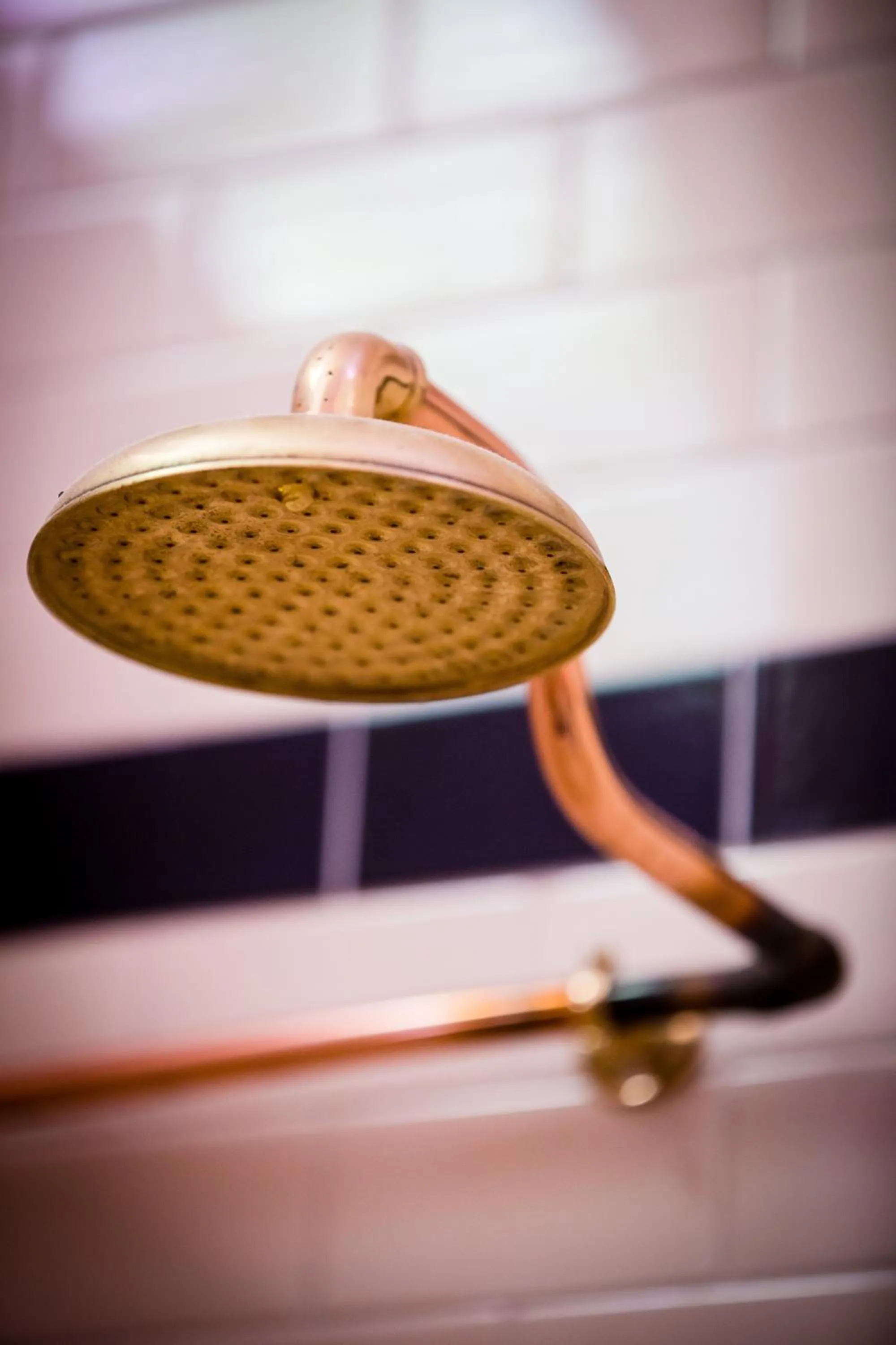 Bathroom in Como Cottage Accommodation