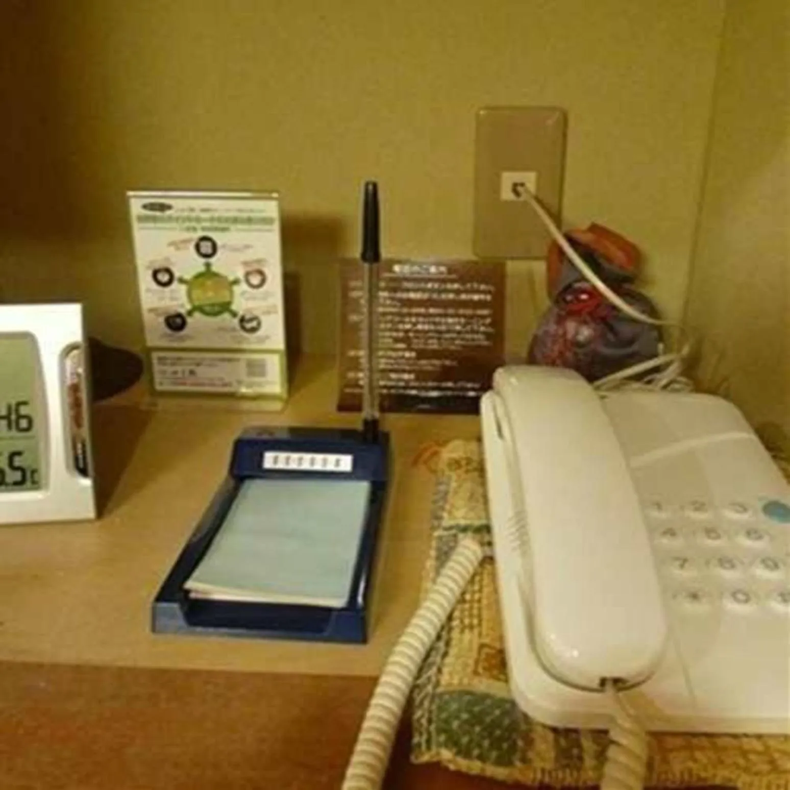 Photo of the whole room in Ryokan Ichinomatsu