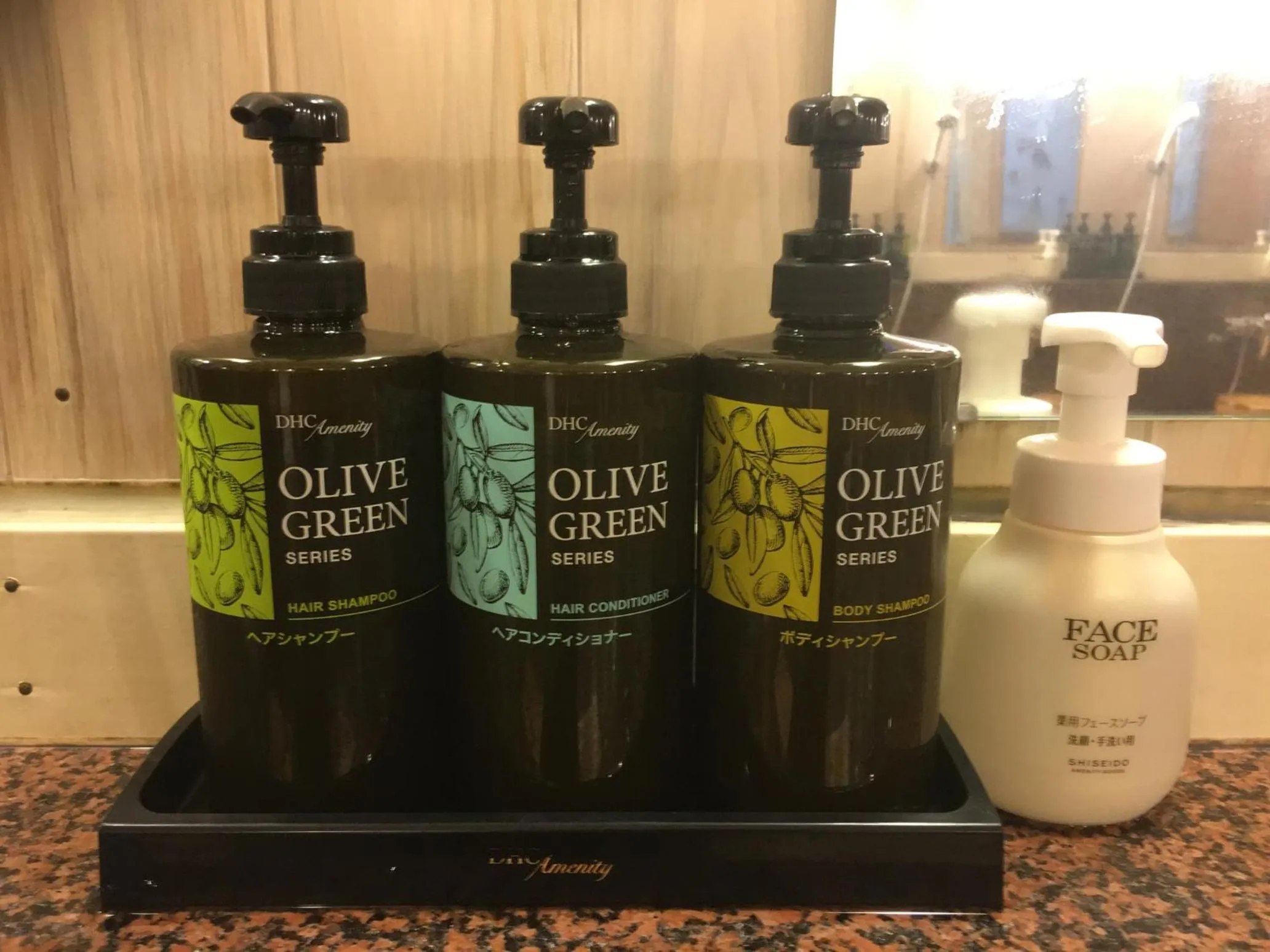 Hot Spring Bath in Ryokan Ichinomatsu