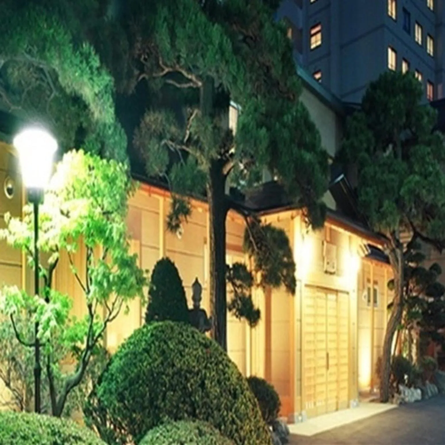 Night in Ryokan Ichinomatsu