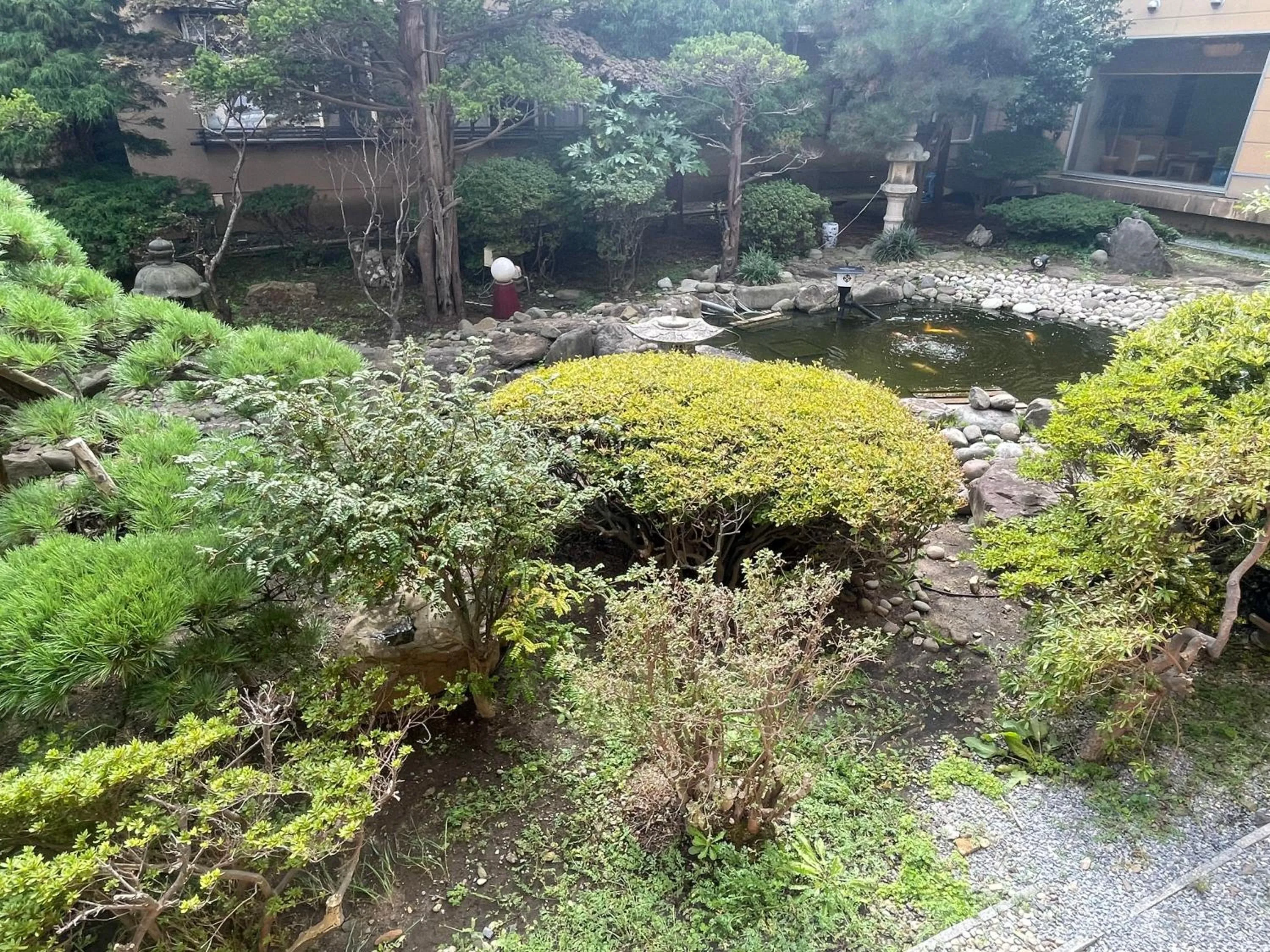 Garden in Ryokan Ichinomatsu