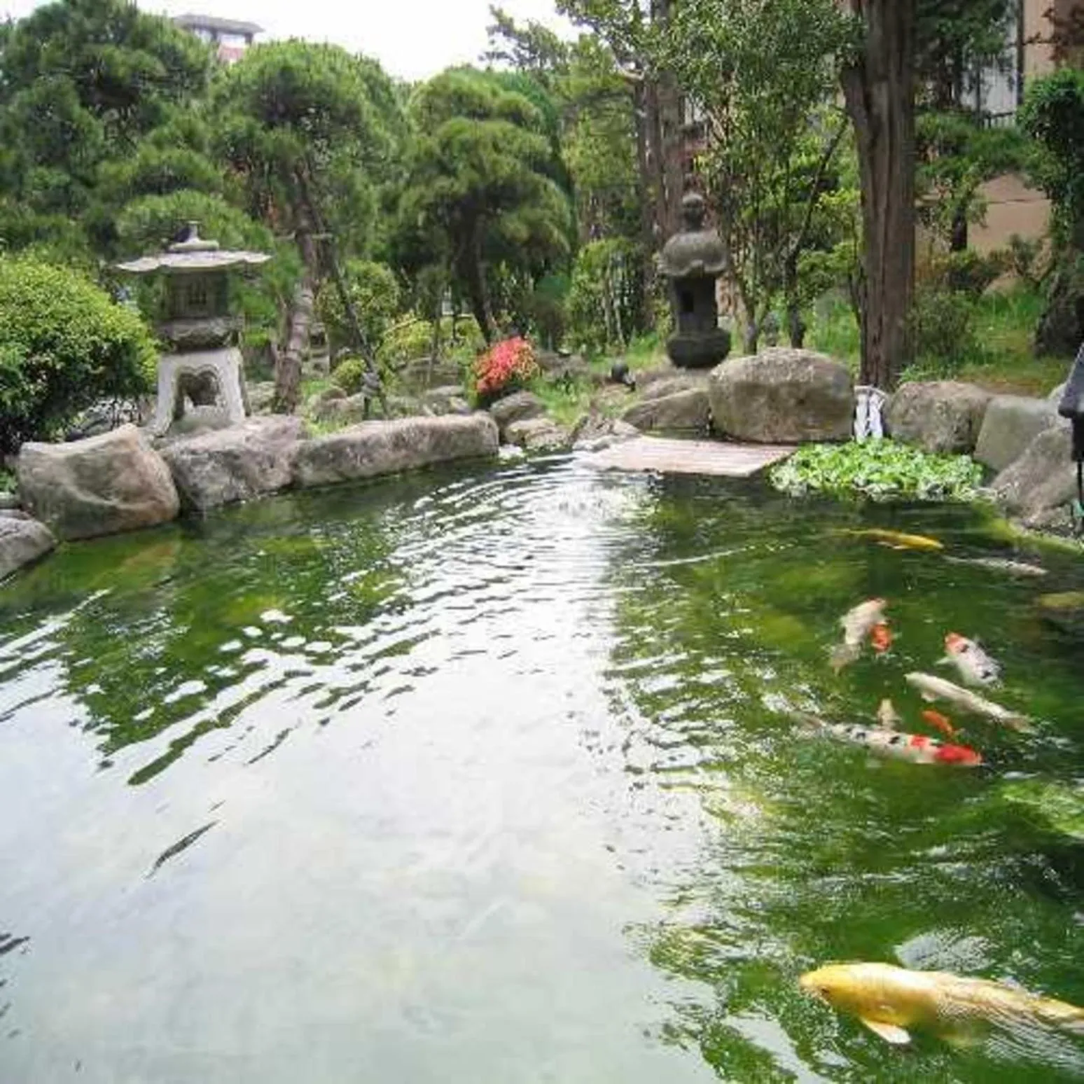 Garden in Ryokan Ichinomatsu