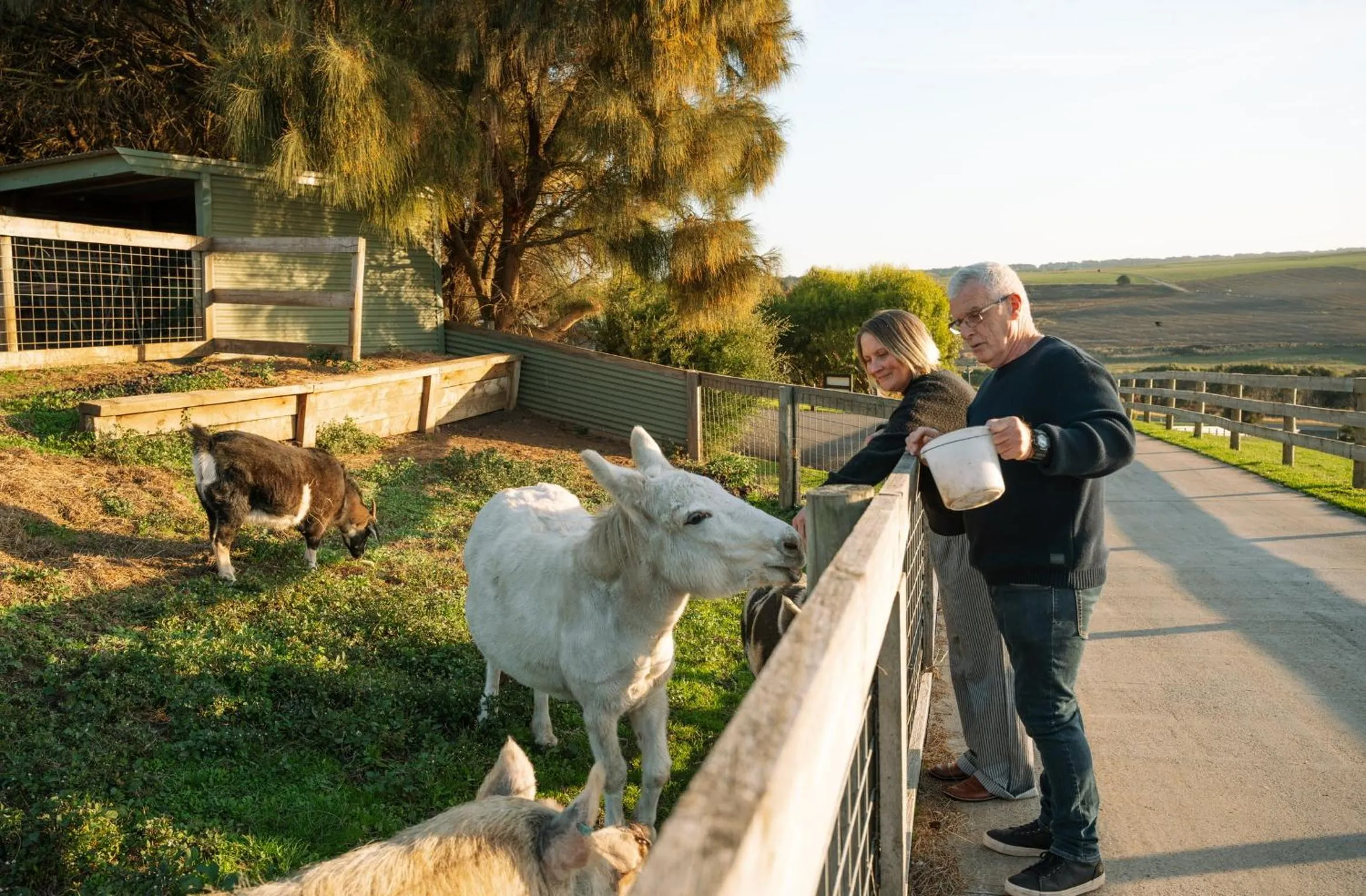 Anchors Port Campbell