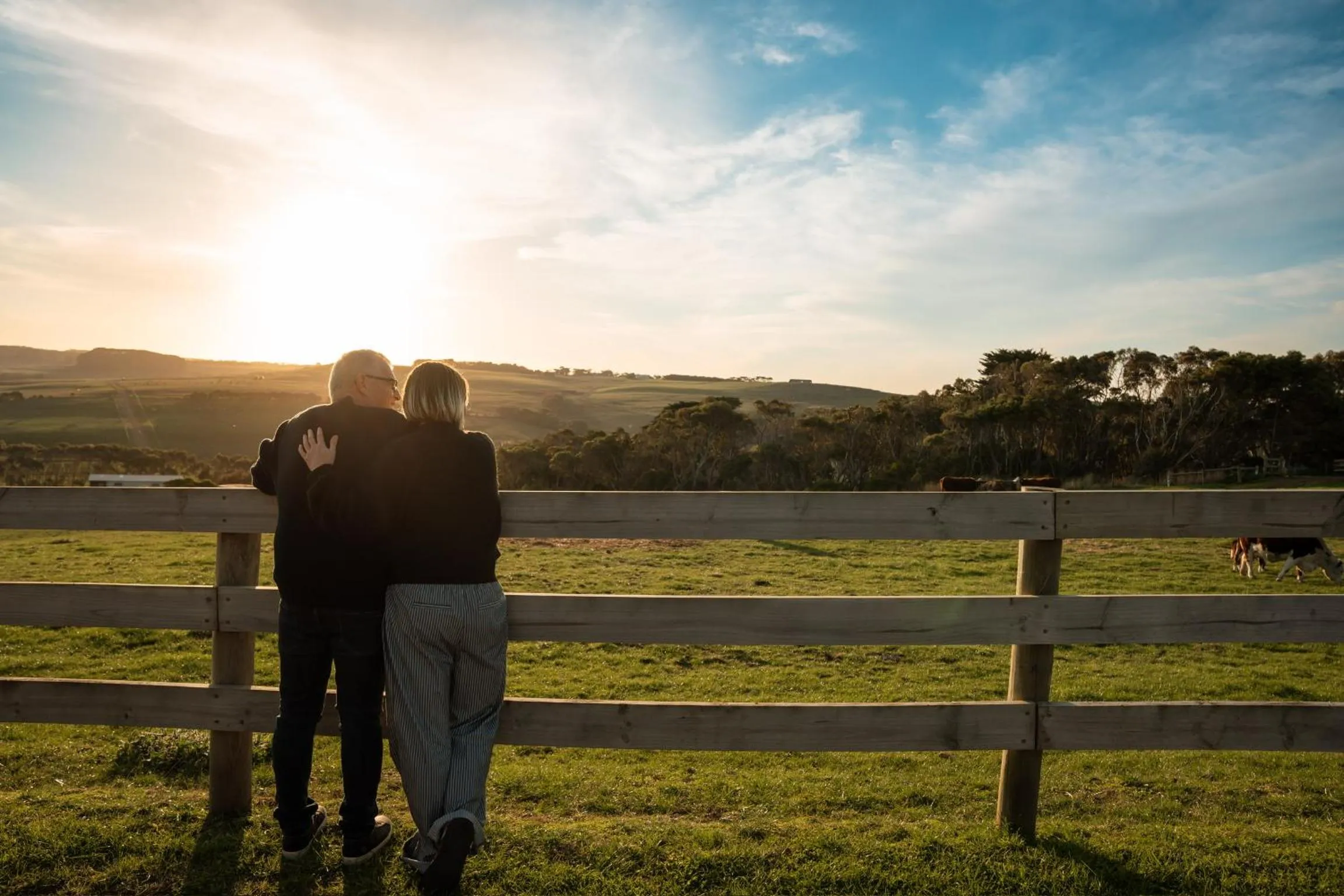 Anchors Port Campbell