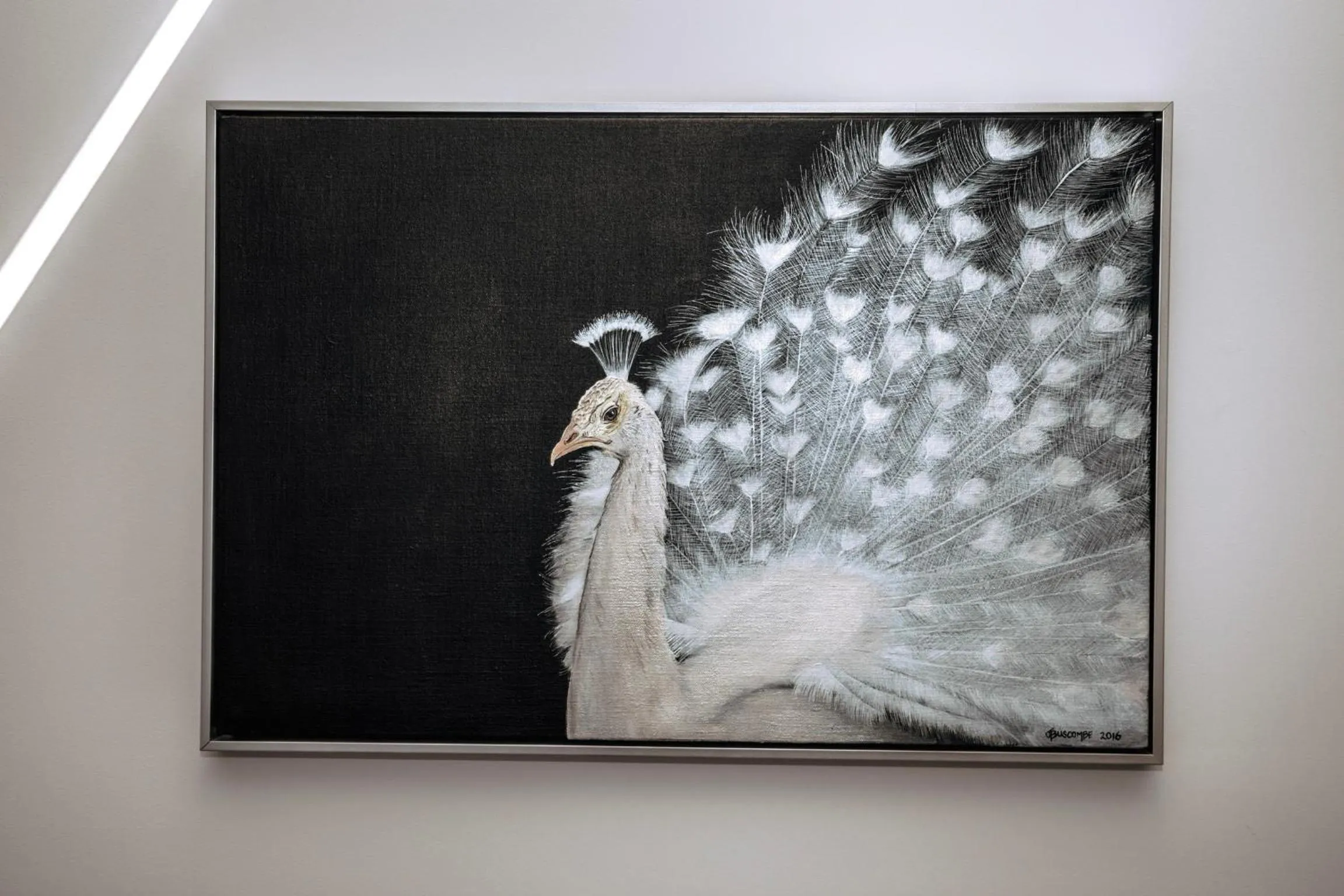 Anchors Port Campbell