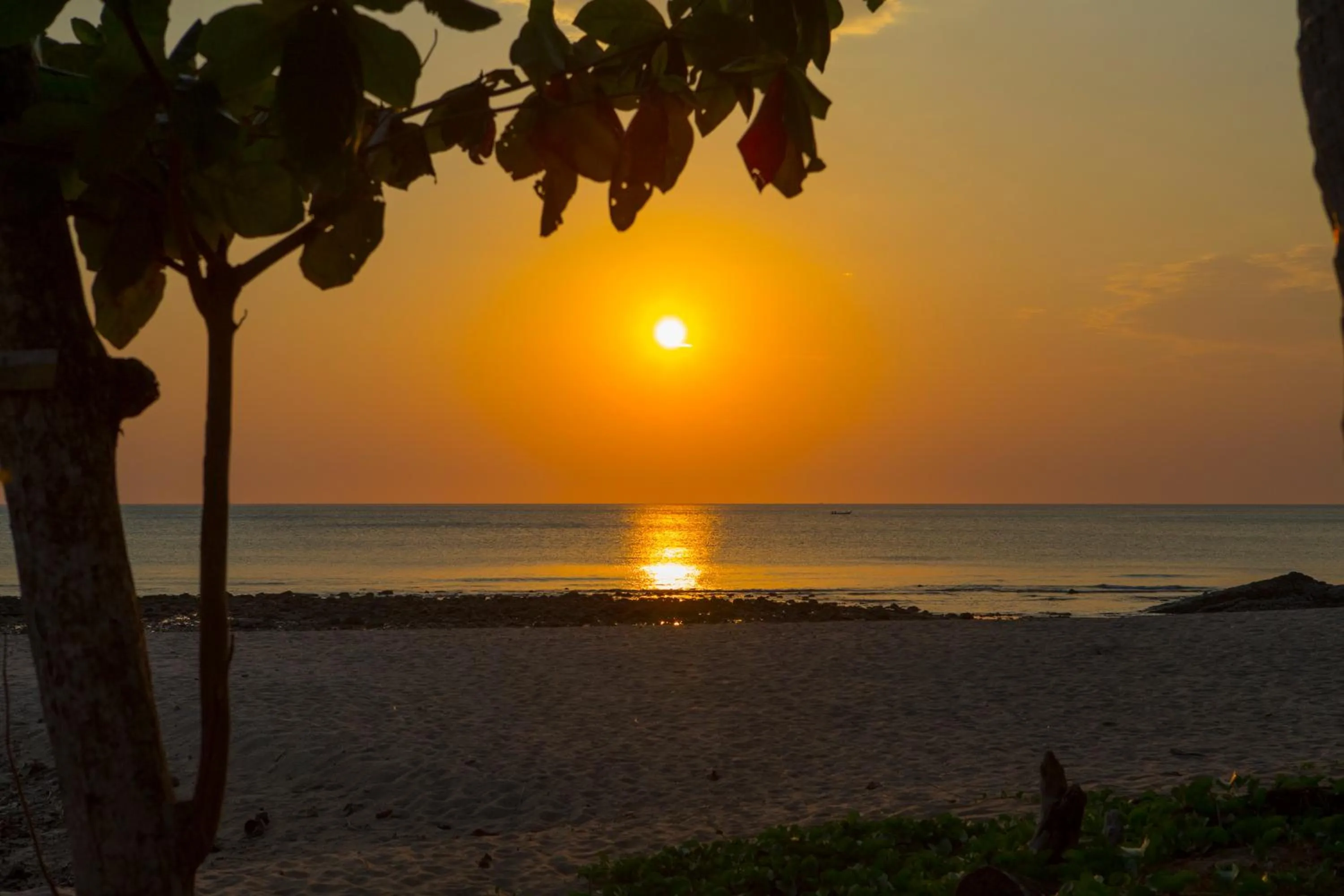 Beach in Lanta Coral Beach Resort