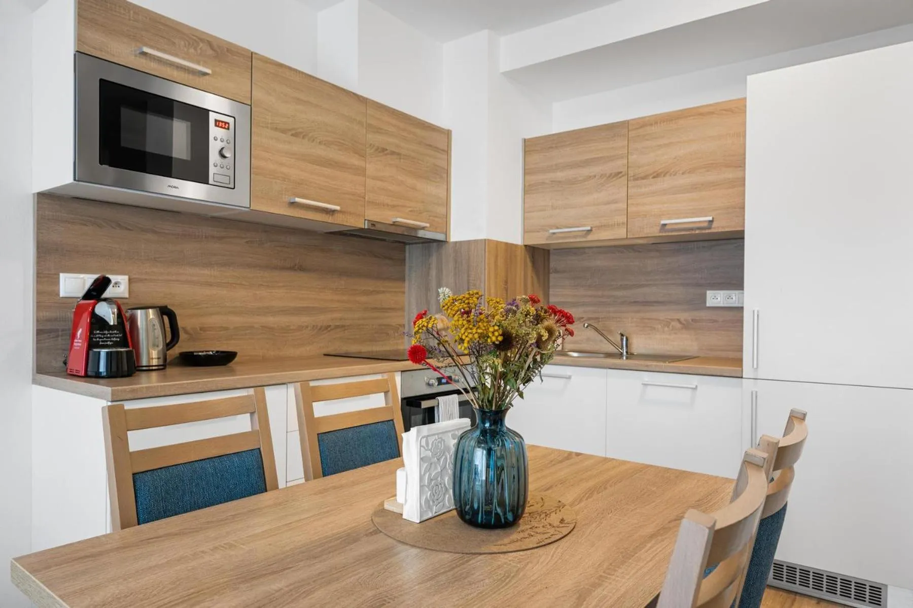 Kitchen or kitchenette in Apart Hotel VIRGO