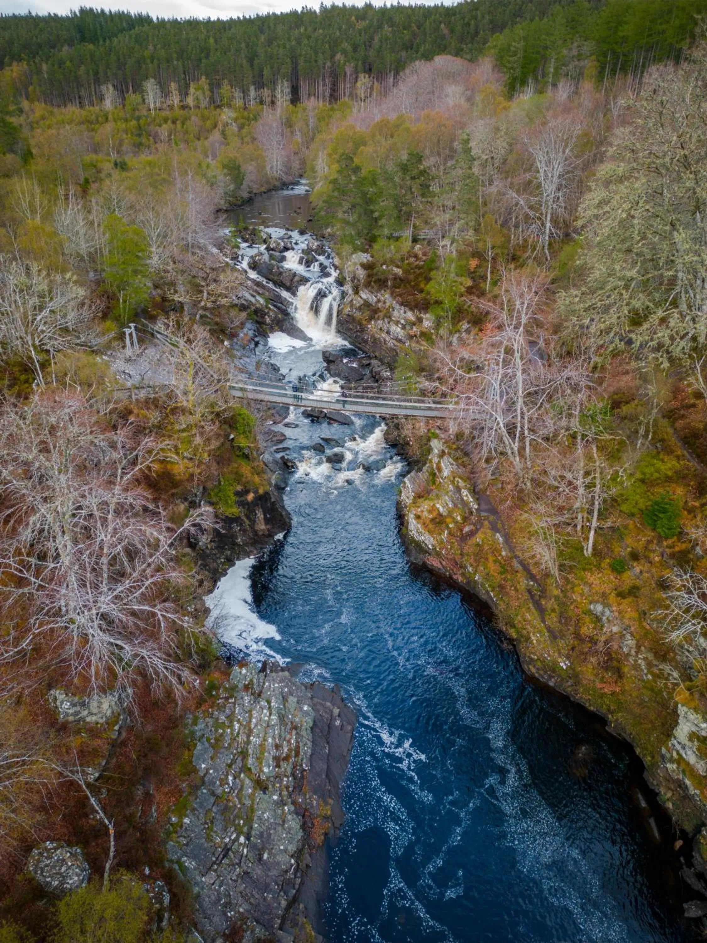 Natural landscape in Inverness Youth Hostel