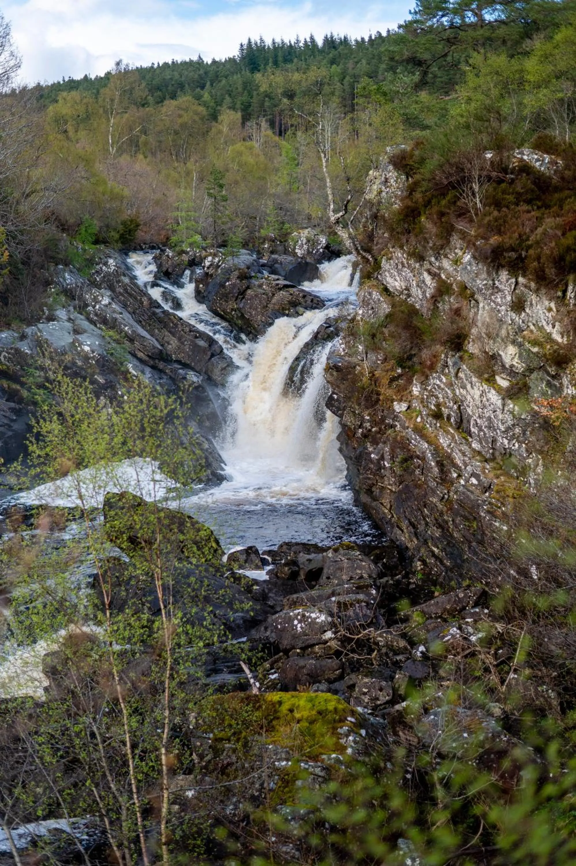 Natural landscape in Inverness Youth Hostel