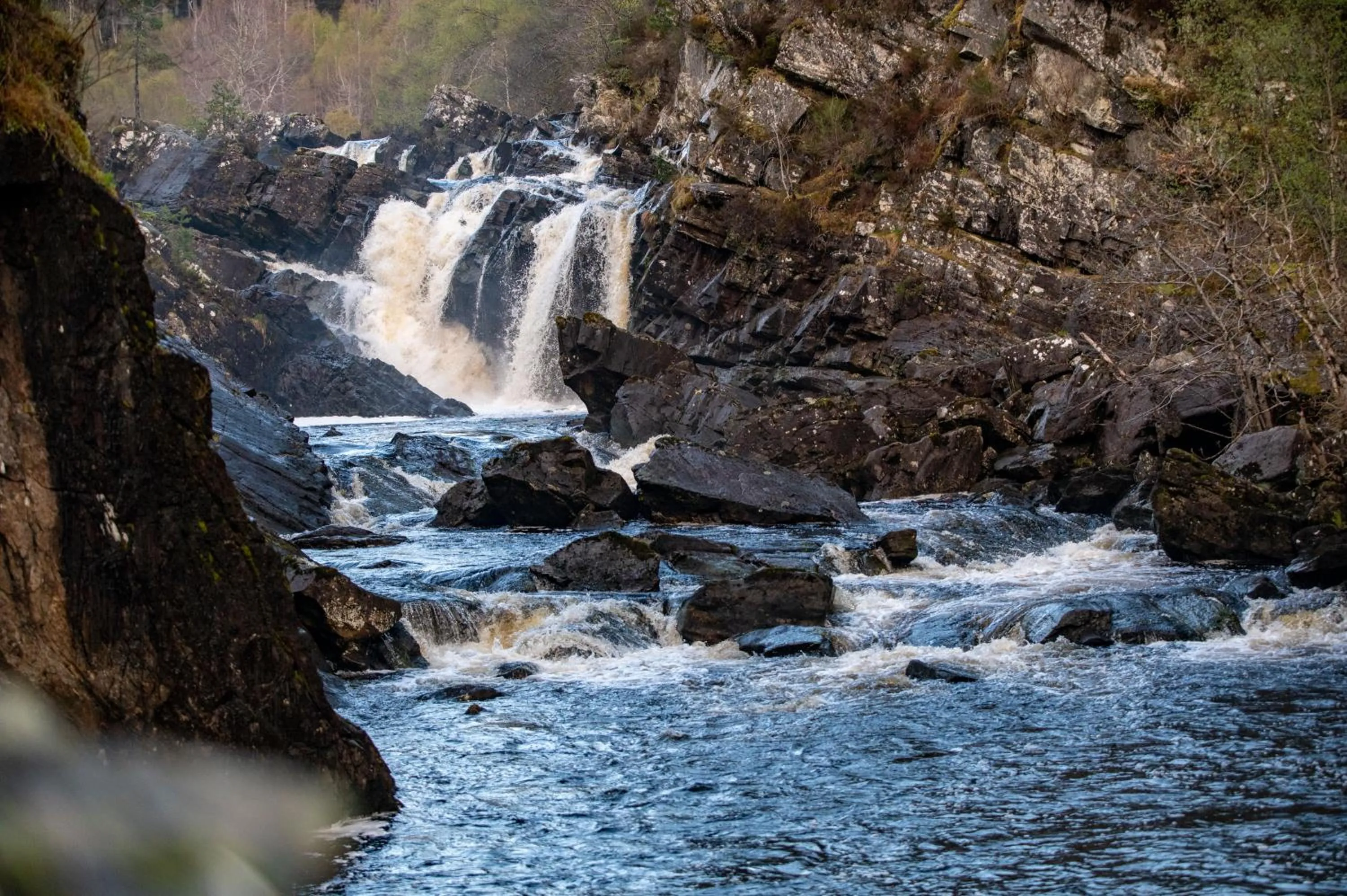 Natural landscape in Inverness Youth Hostel