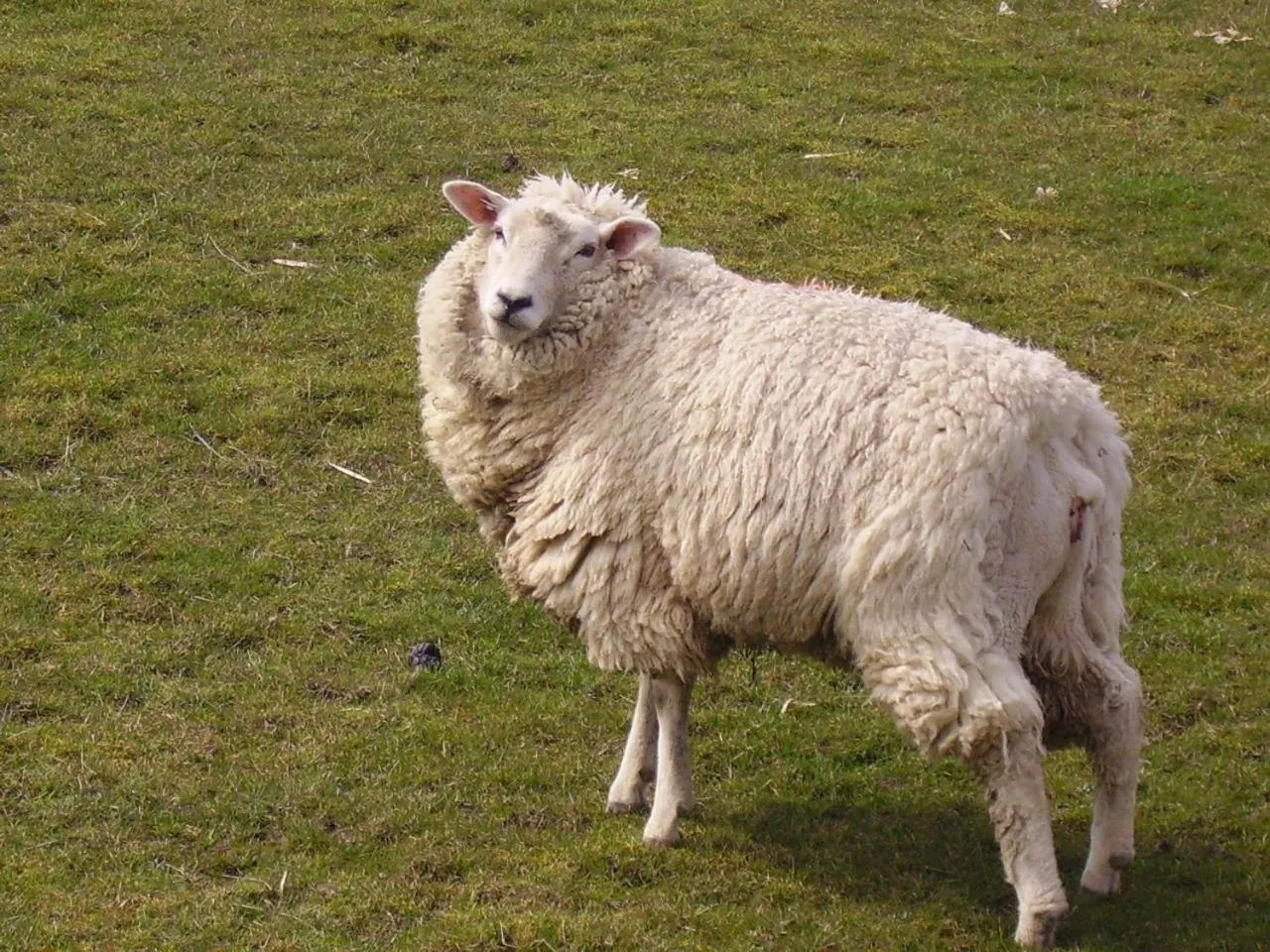 Natural landscape in Nordsee Lodge