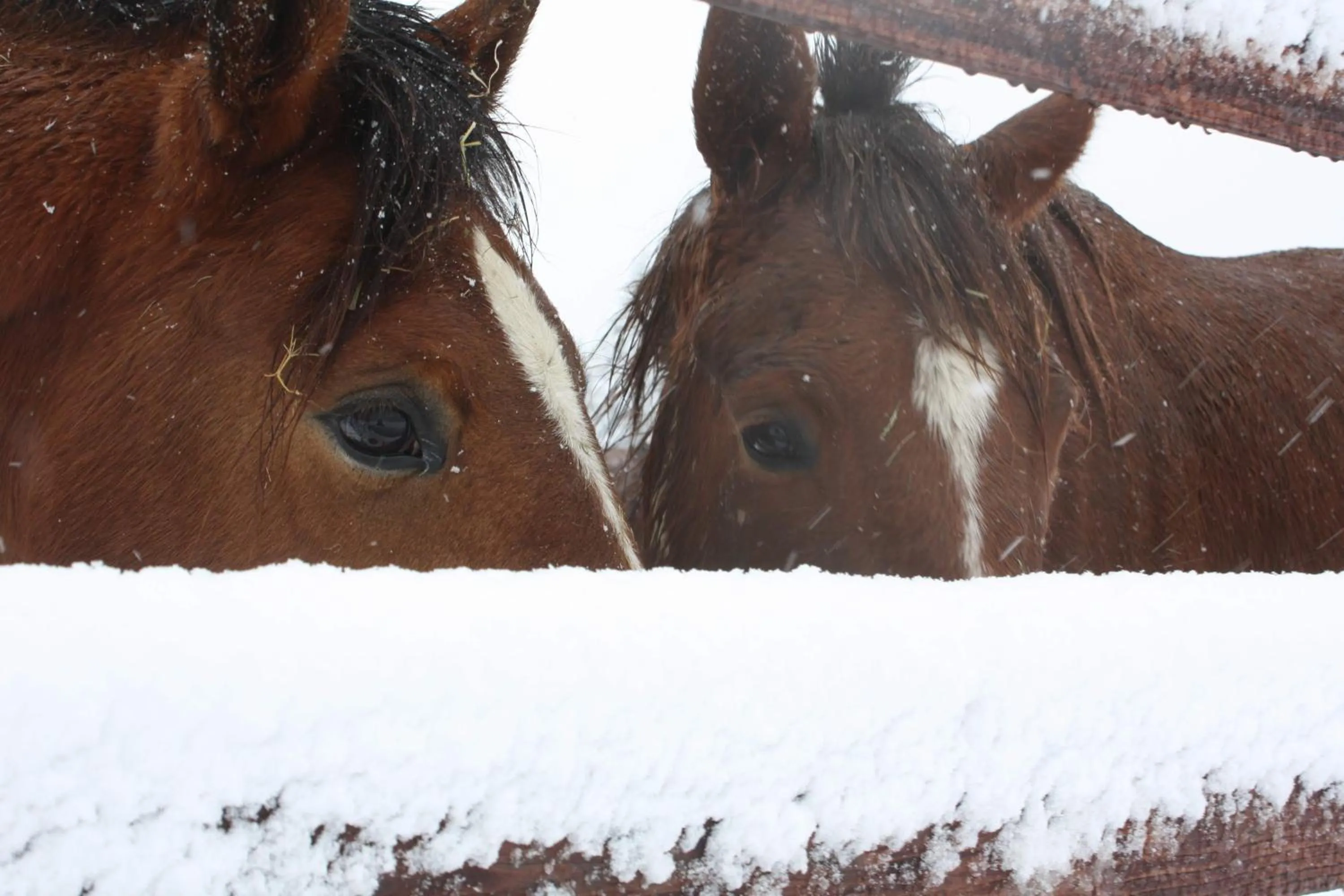 Chambres d'hôtes La Verrerie du Gast