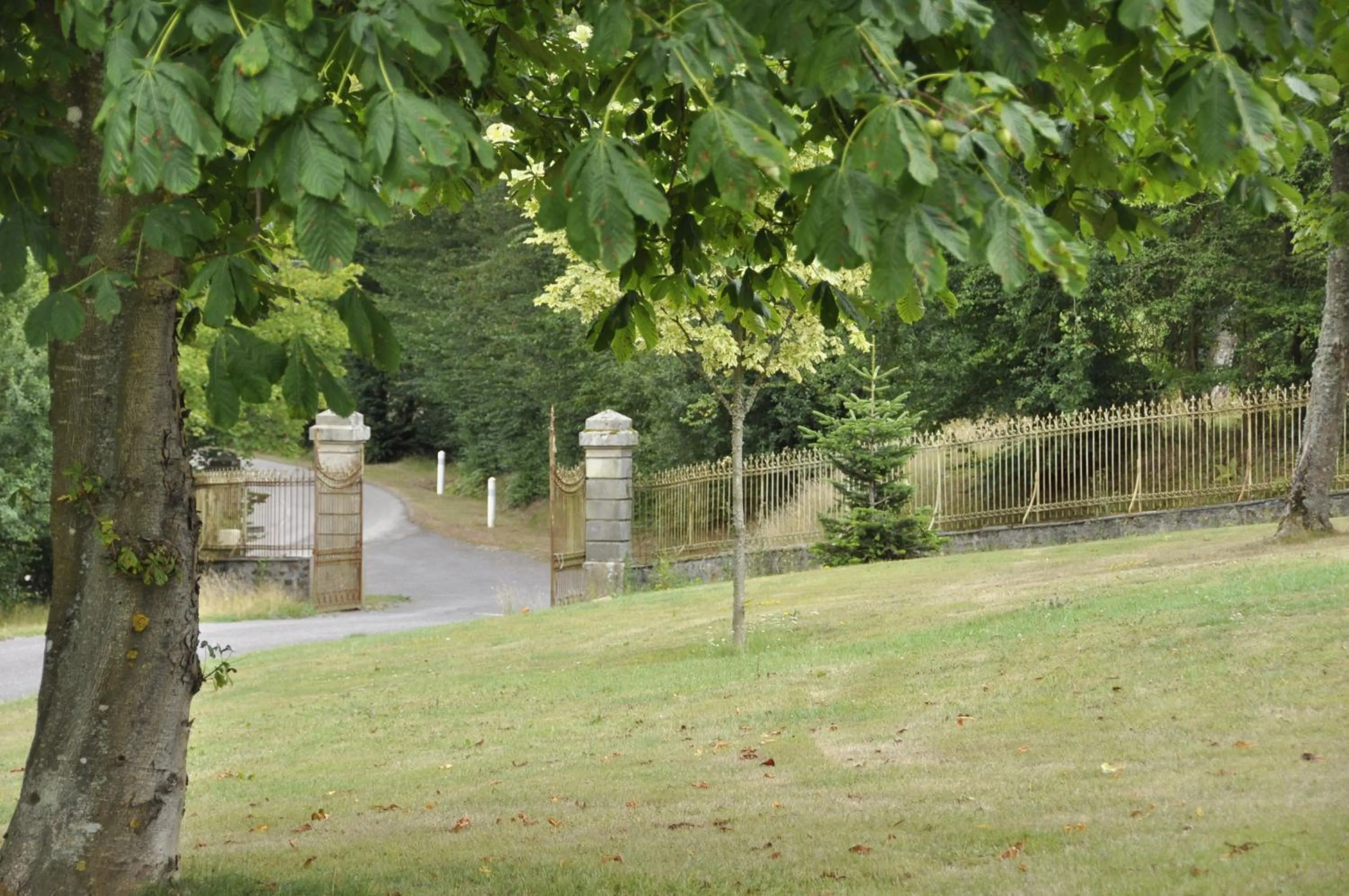 Area and facilities in Chambres d'hôtes La Verrerie du Gast
