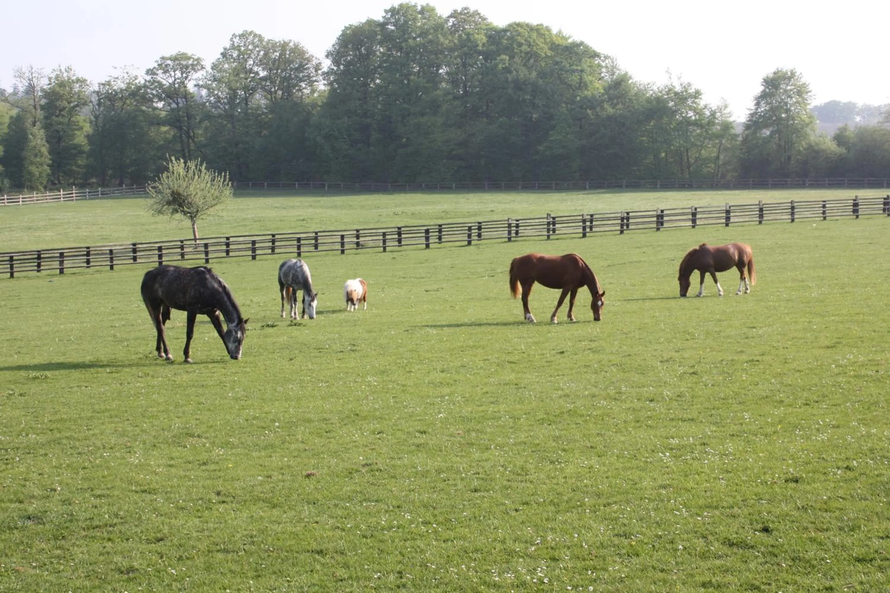 Chambres d'hôtes La Verrerie du Gast