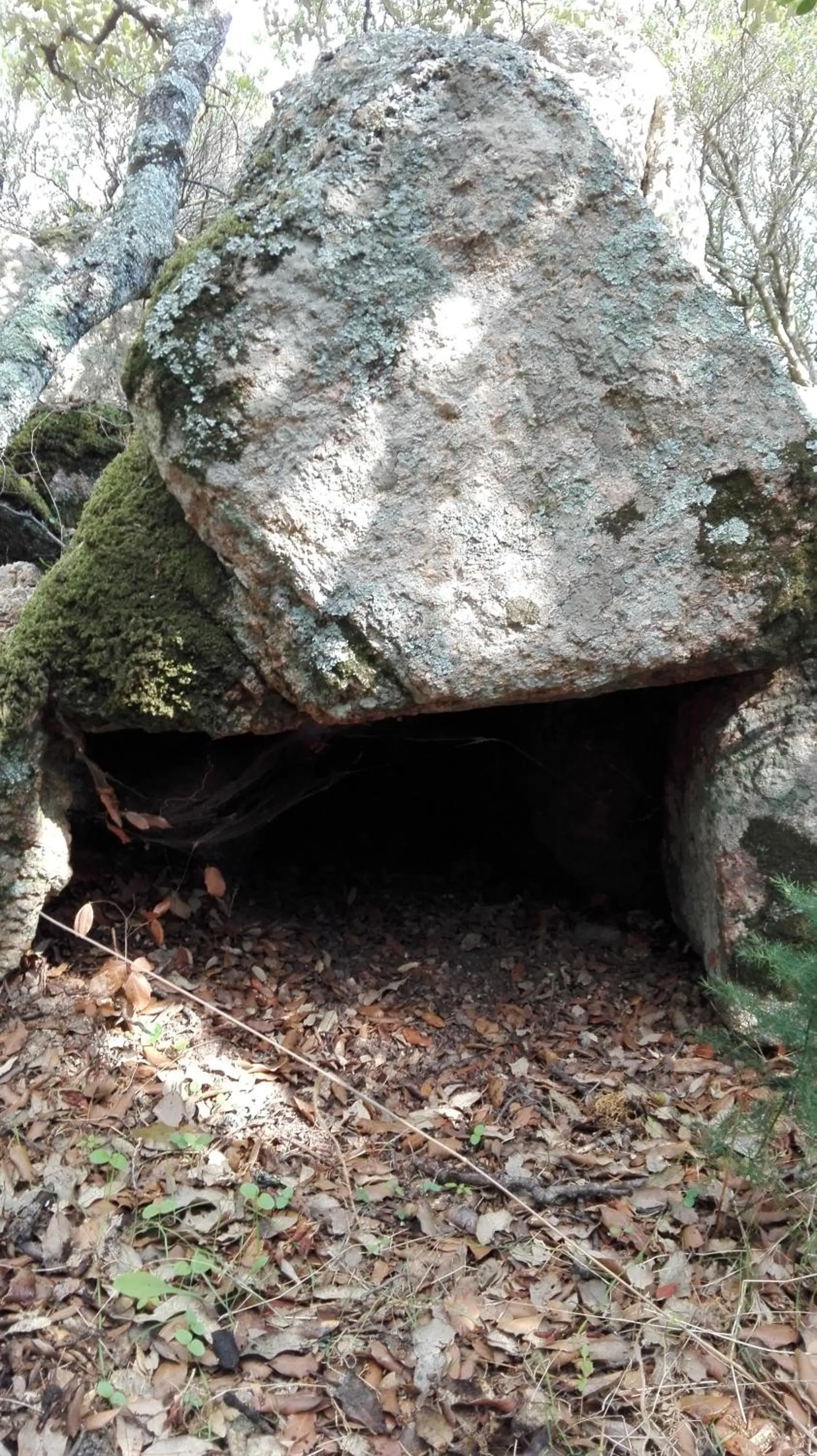 Natural landscape in Agriturismo B&B Domo De Resteblas