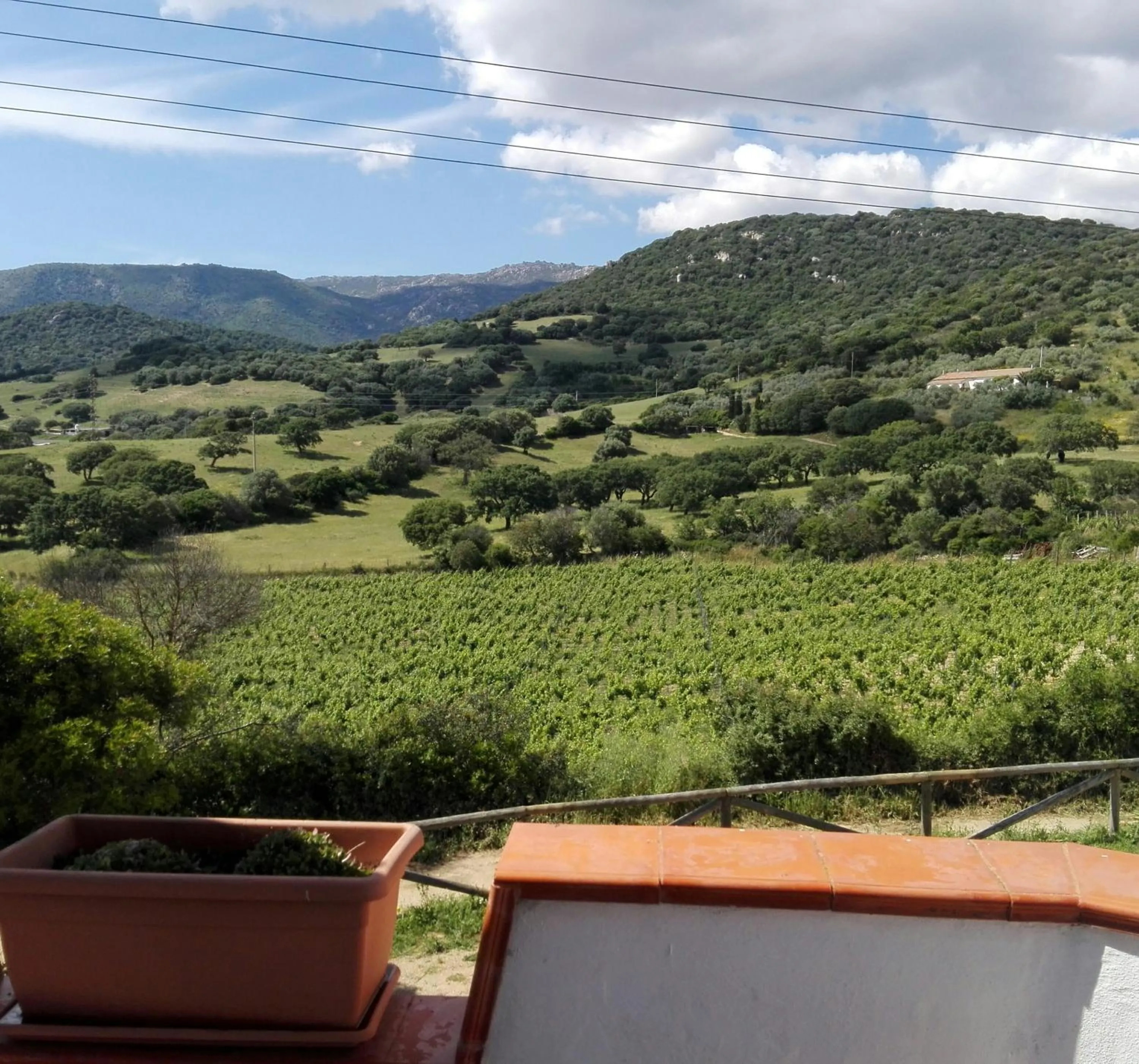 Mountain view in Agriturismo B&B Domo De Resteblas