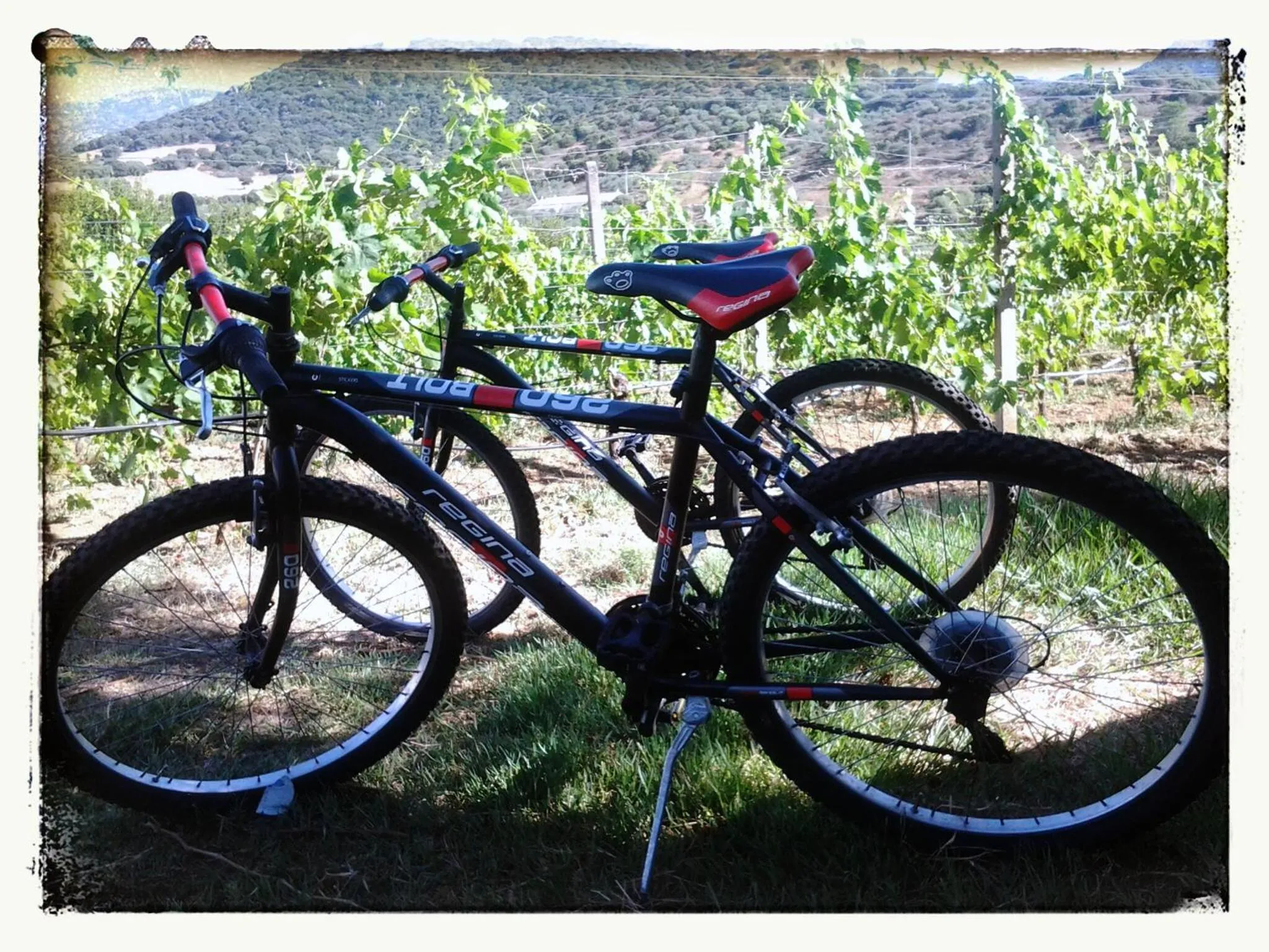 Hiking in Agriturismo B&B Domo De Resteblas