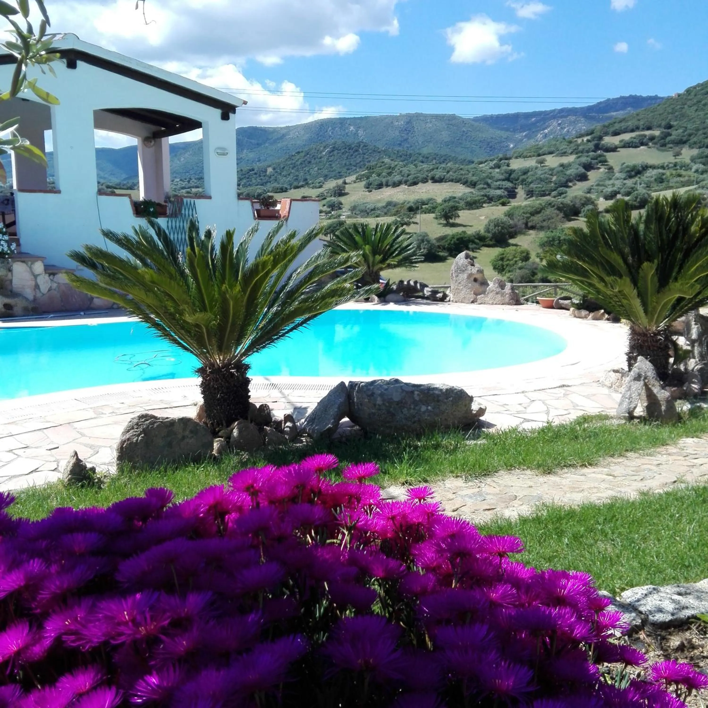 Pool view in Agriturismo B&B Domo De Resteblas