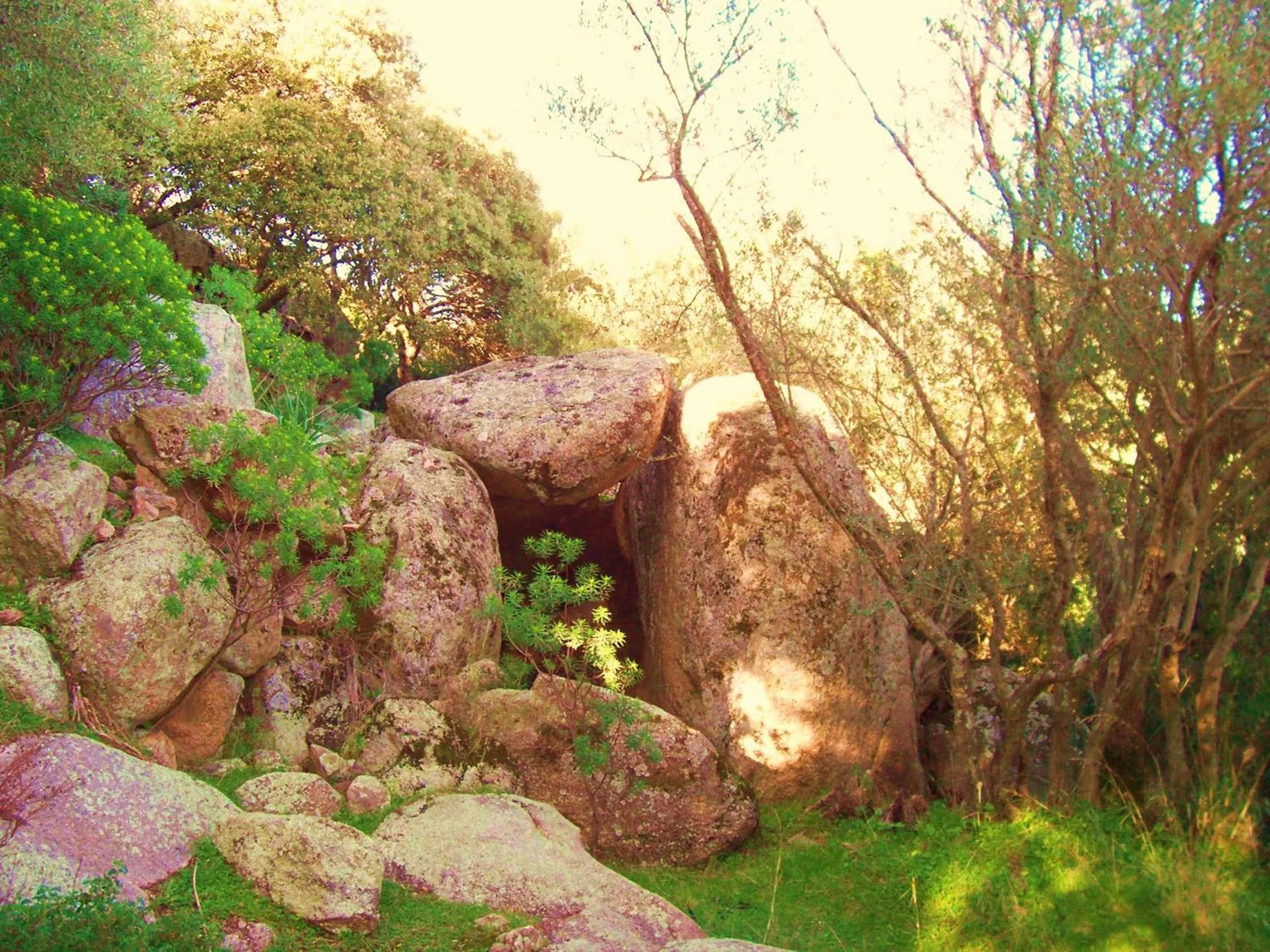 Nearby landmark in Agriturismo B&B Domo De Resteblas