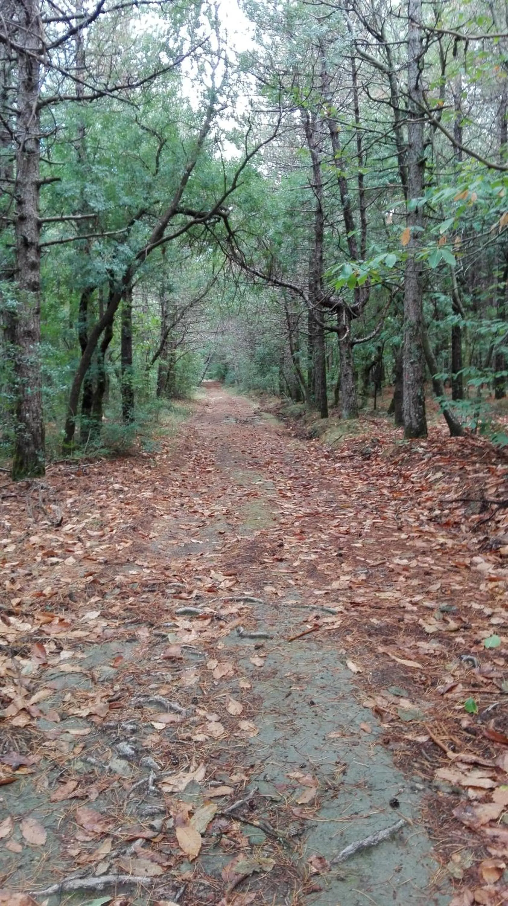 Nearby landmark in Agriturismo B&B Domo De Resteblas