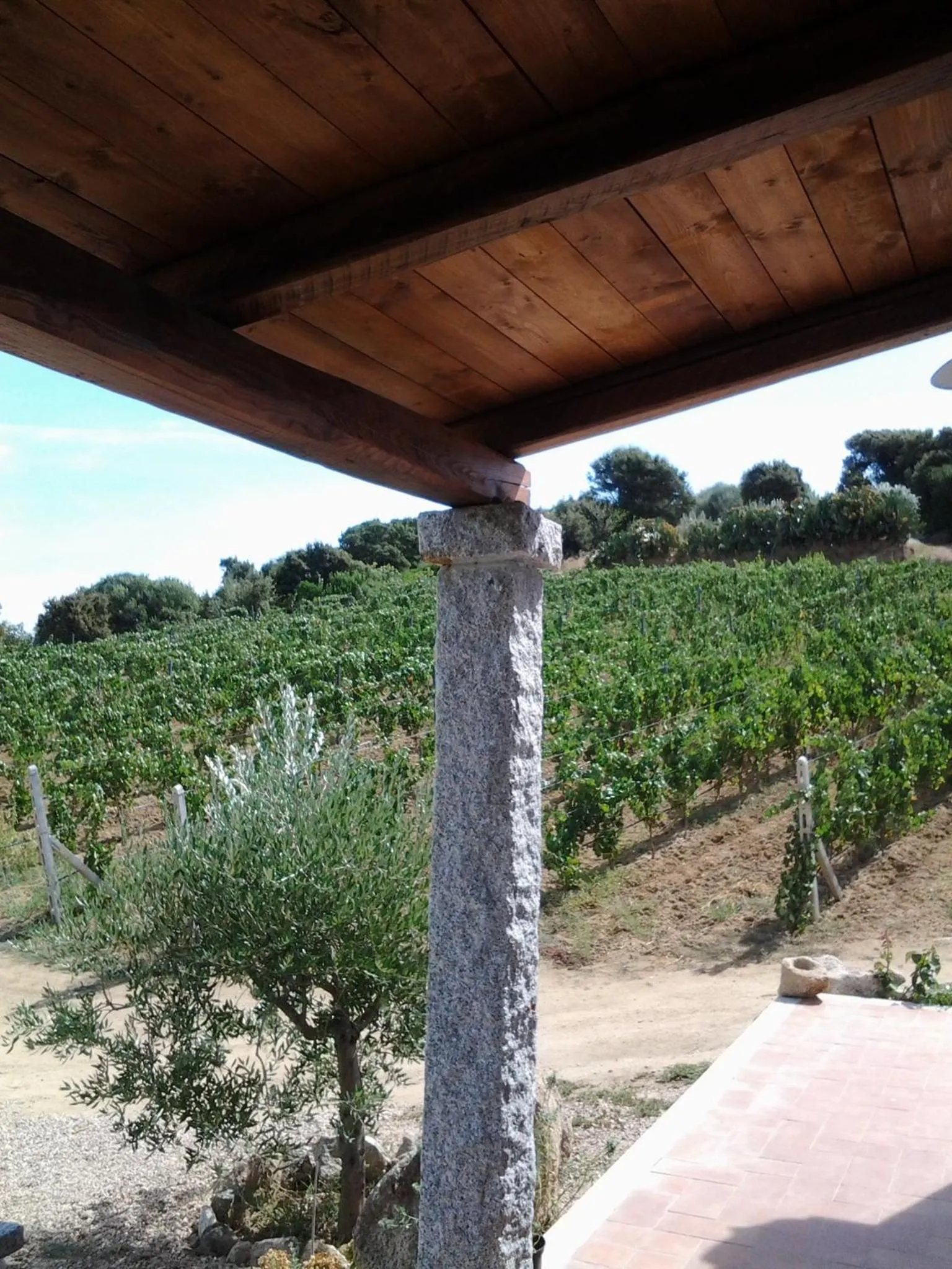 Facade/entrance in Agriturismo B&B Domo De Resteblas