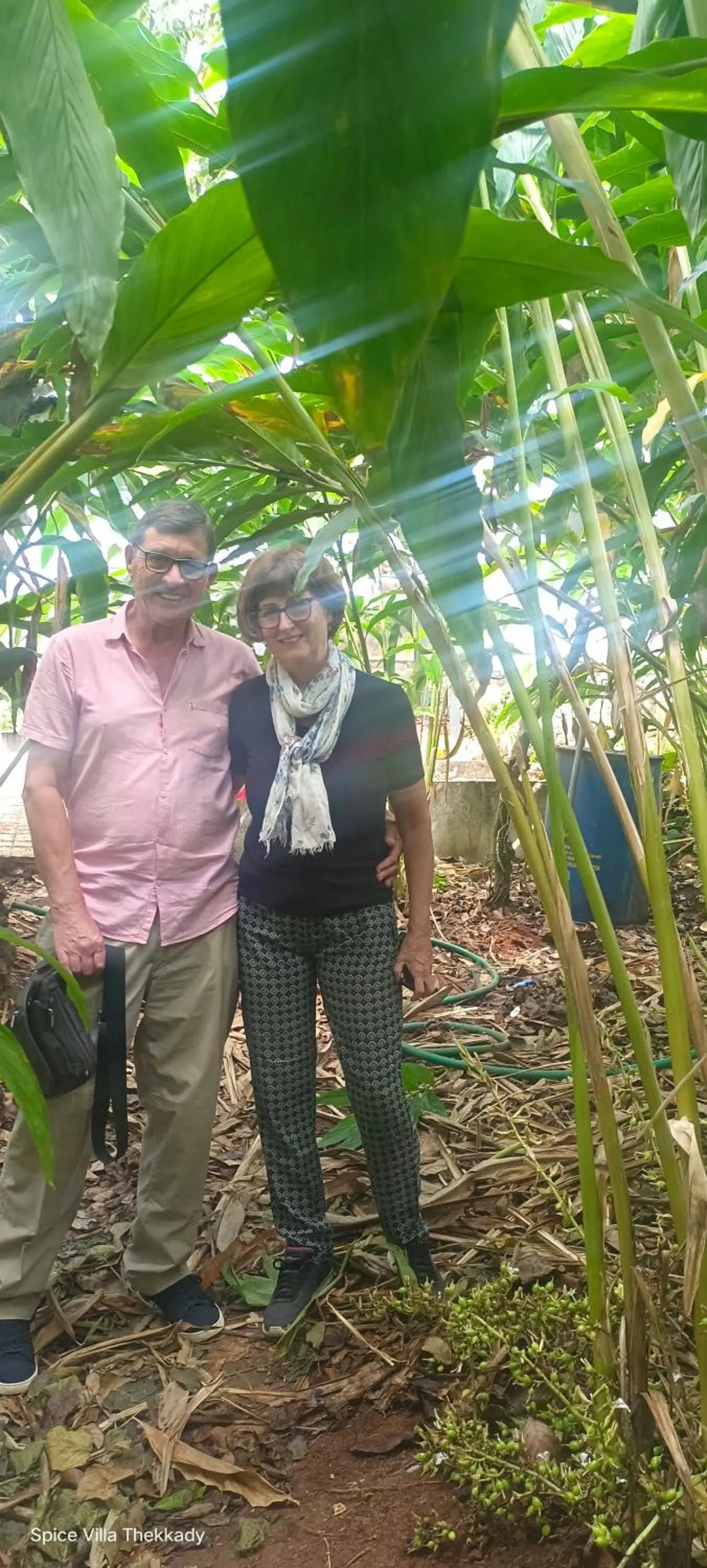 Spice Villa Thekkady