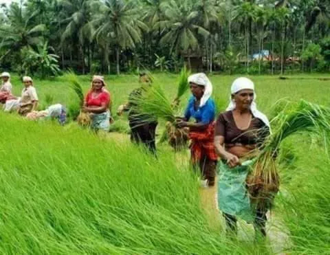 Spice Villa Thekkady